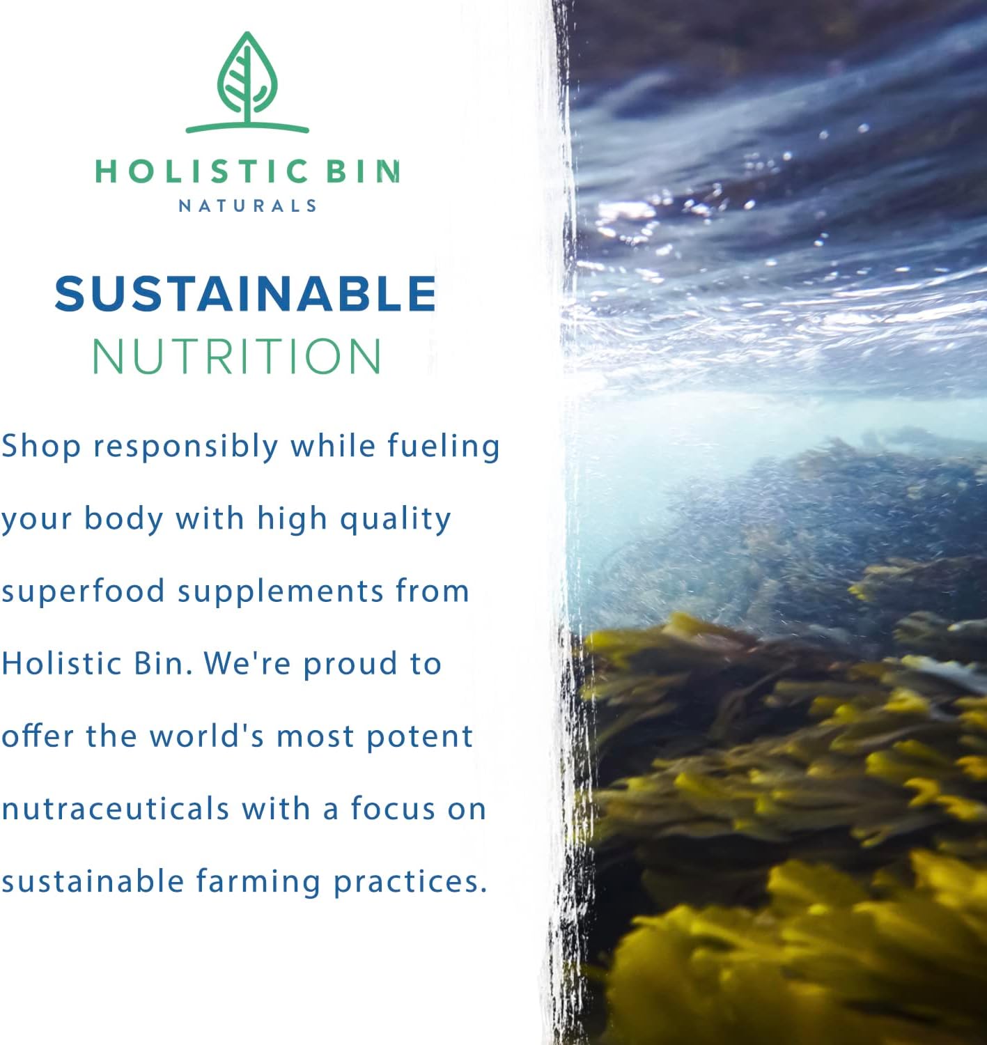 Nordic Seawater Grown Marine Phytoplankton Capsules | Vegan Omega 3 Supplement with Amino Acids, Vitamins, & Minerals by Holistic Bin