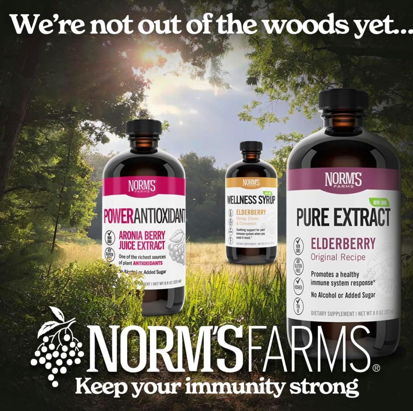 Norm's Farms Elderberry Extract - Pure Immune Support Concentrate from American Berries - Vegan, Gluten Free, Non-GMO - 8 Oz. Bottle
