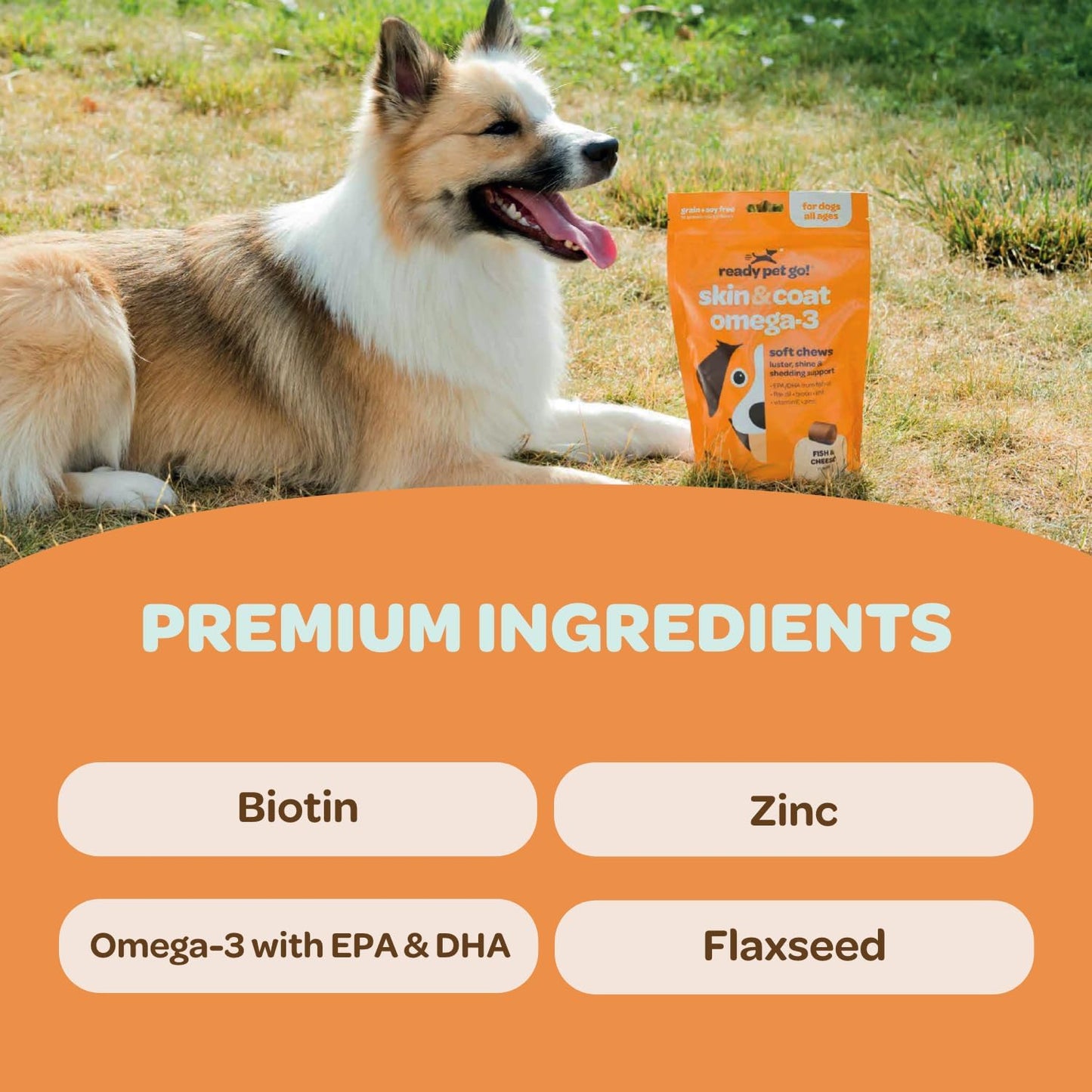 Nourishing Omega 3 Skin and Coat Supplement for Dogs | 90 Chews | EPA DHA Krill Oil & Vitamin E | Up to 75lbs | NASC Certified & Made in USA