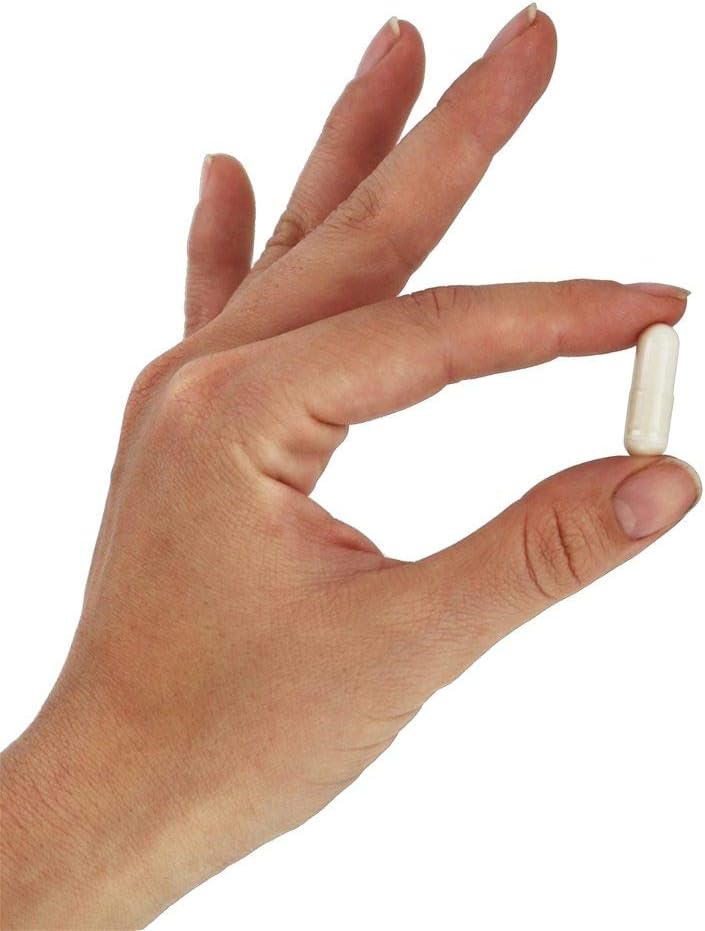 NOW Foods Phase-2 500 mg 120 VegiCaps - Twin Pack for Carb Control