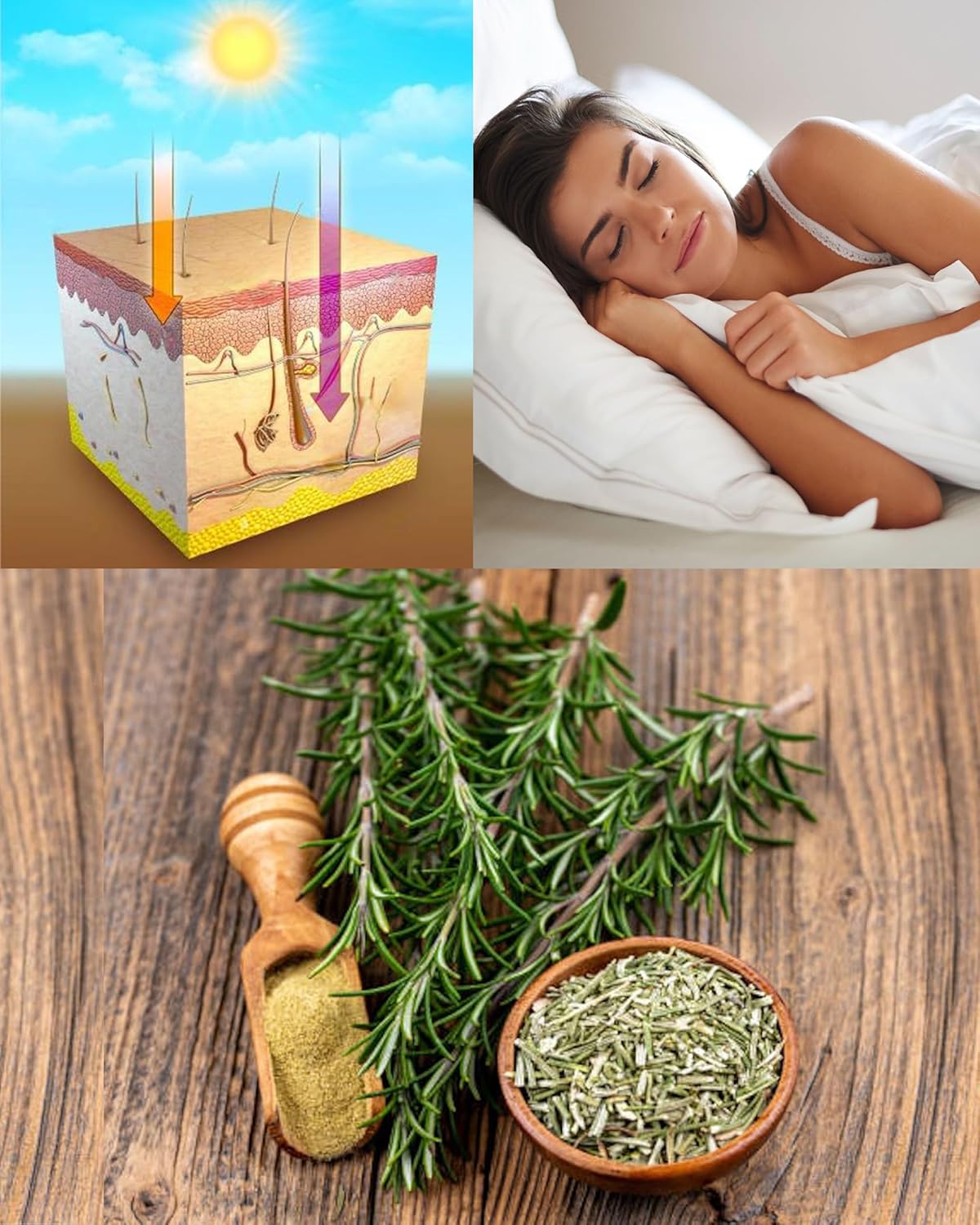 NRF2 Activator Oxidative Stress Relief Formula - Reduce by 40% in 30 Days - Herbal Blend - 60 Vegan Capsules