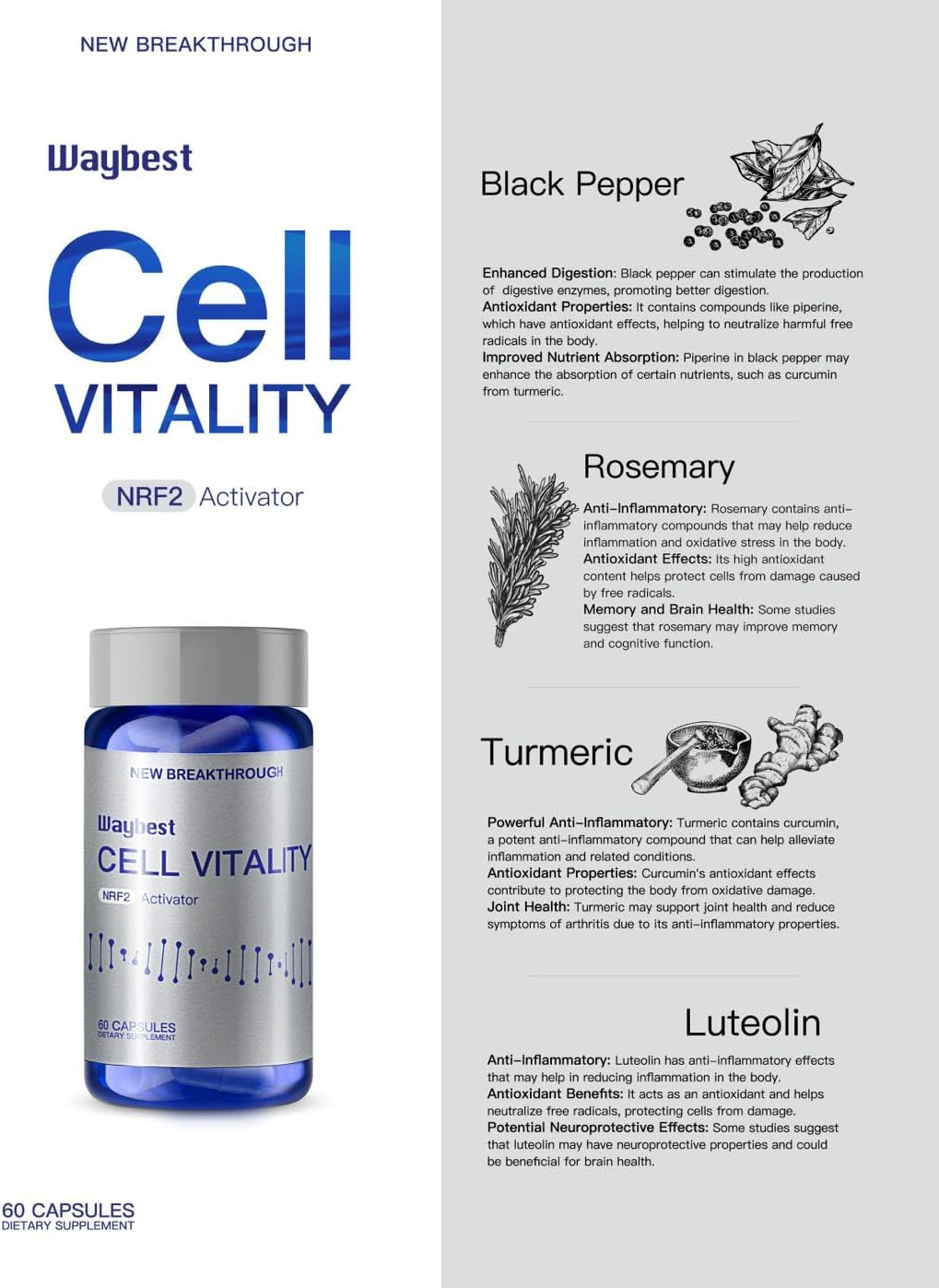 NRF2 Activator Oxidative Stress Relief Formula - Reduce by 40% in 30 Days - Herbal Blend - 60 Vegan Capsules