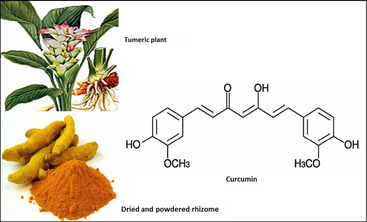 NRF2 Activator Oxidative Stress Relief Formula - Reduce by 40% in 30 Days - Herbal Blend - 60 Vegan Capsules