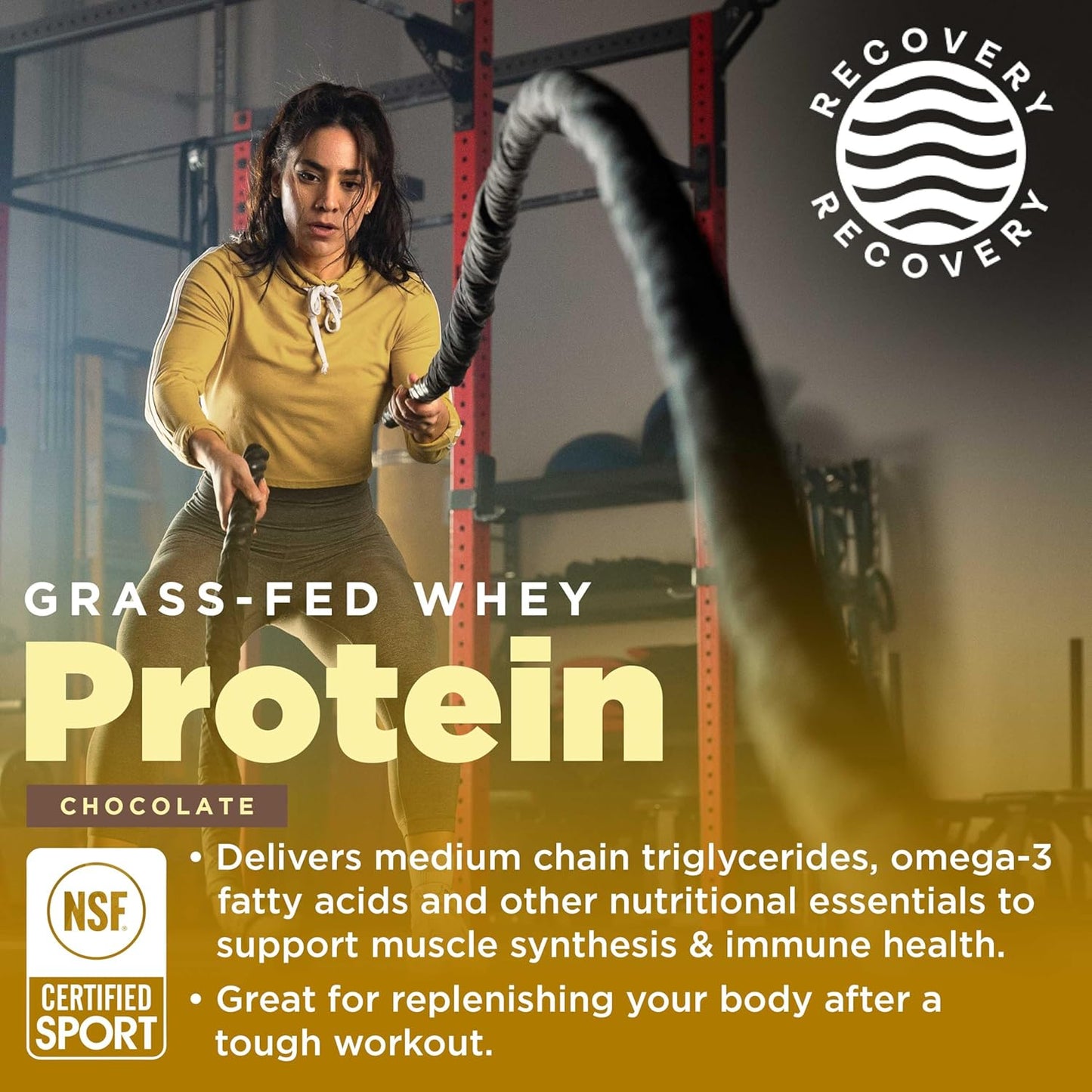 NSF Sport Certified Chocolate Protein Powder with 25g Protein for Muscle Repair - Grass Fed Whey, Smooth Chocolate Taste - 32 oz