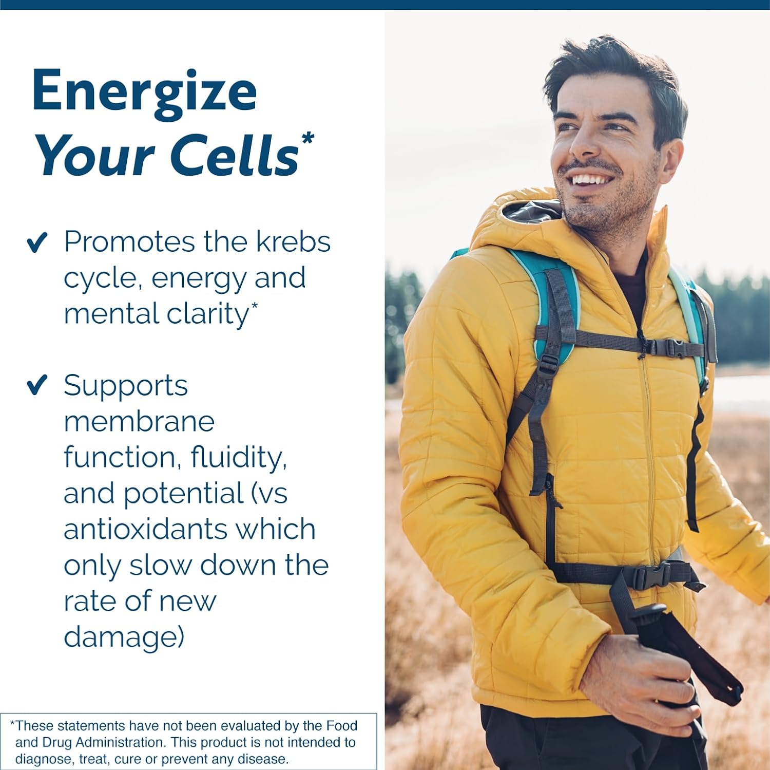 NT Factor Energy Supplement - Boost Cellular Health, ATP Production, Energy & Brain Function - 90 Tablets