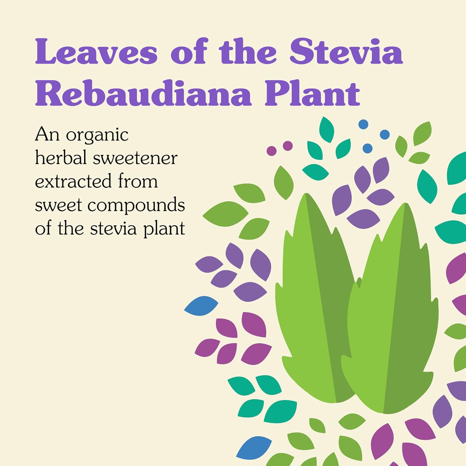 NuNaturals Clear Extract Stevia 4 oz - Plant-Based Sweetener in Plastic Bottle