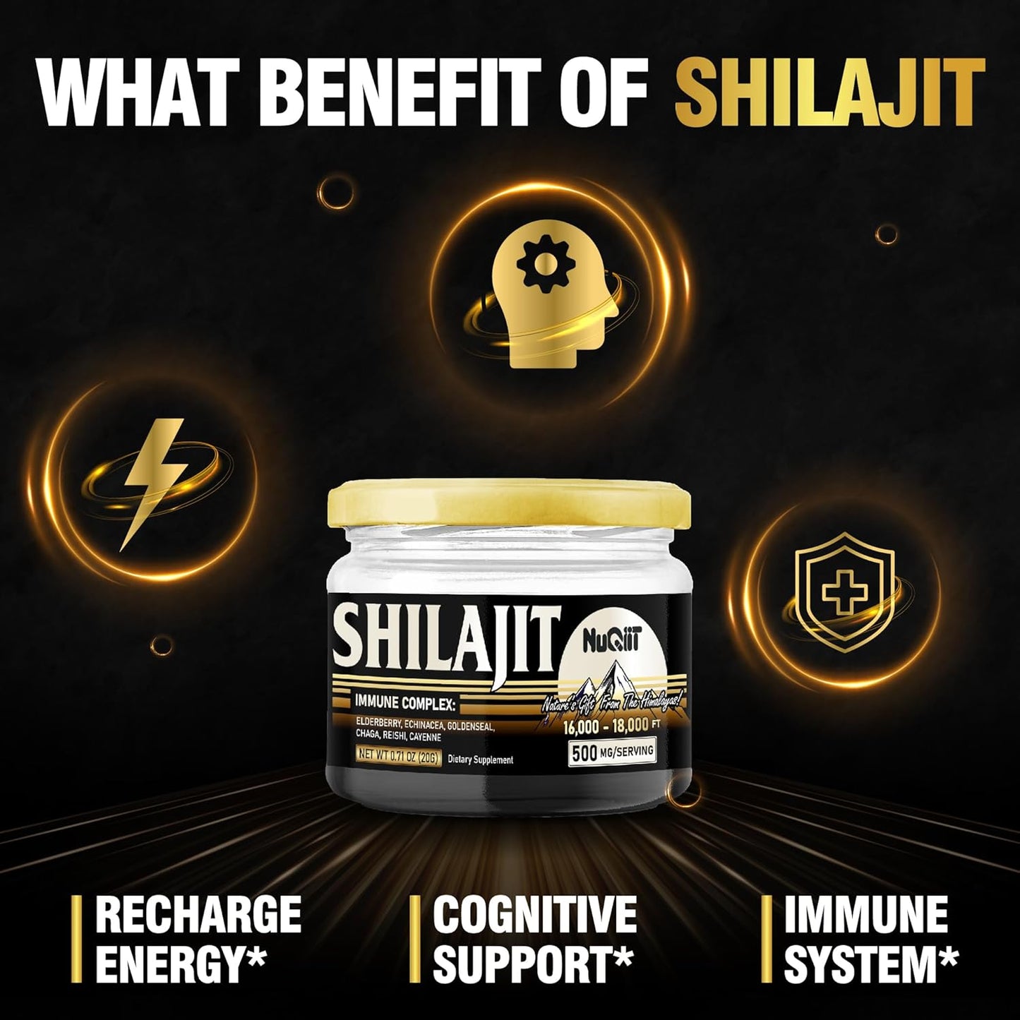 NUQIIT 20 Grams - Shilajit Resin with Elderberry, Echinacea, Goldenseal, Chaga, Reishi, and Cayenne for Immune Support
