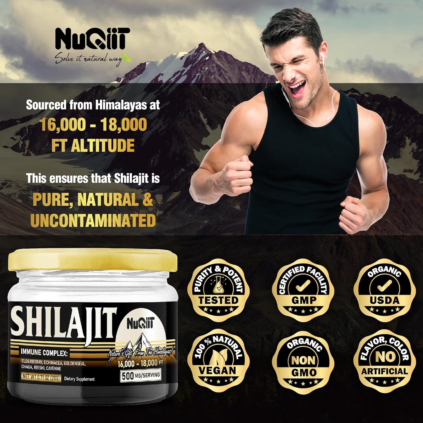 NUQIIT 20 Grams - Shilajit Resin with Elderberry, Echinacea, Goldenseal, Chaga, Reishi, and Cayenne for Immune Support