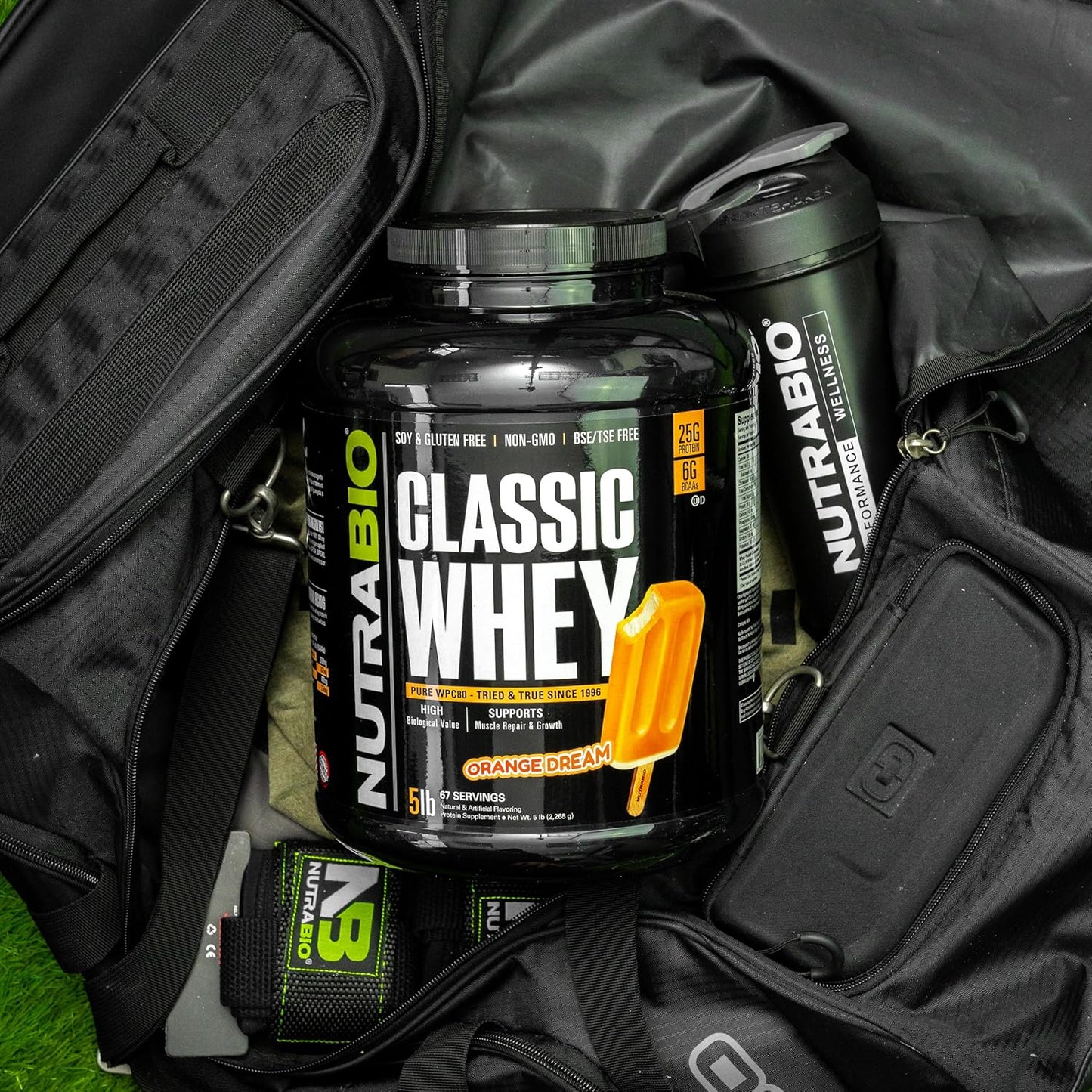 NutraBio Classic Whey Protein Powder Orange Dream Flavor - 5lb Tub - High Protein Content - No Artificial Additives