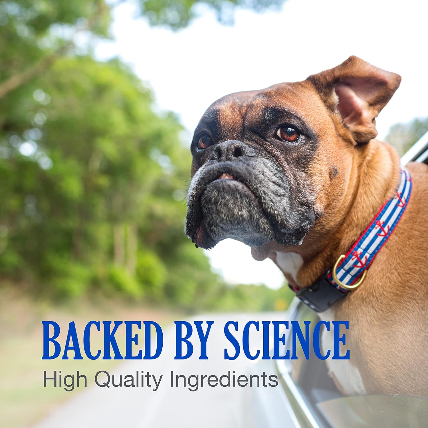 Nutramax Laboratories Cobalequin B12 Supplement for Medium to Large Dogs - 45 Chewable Tablets with Hydrolyzed Chicken - 2.08 oz