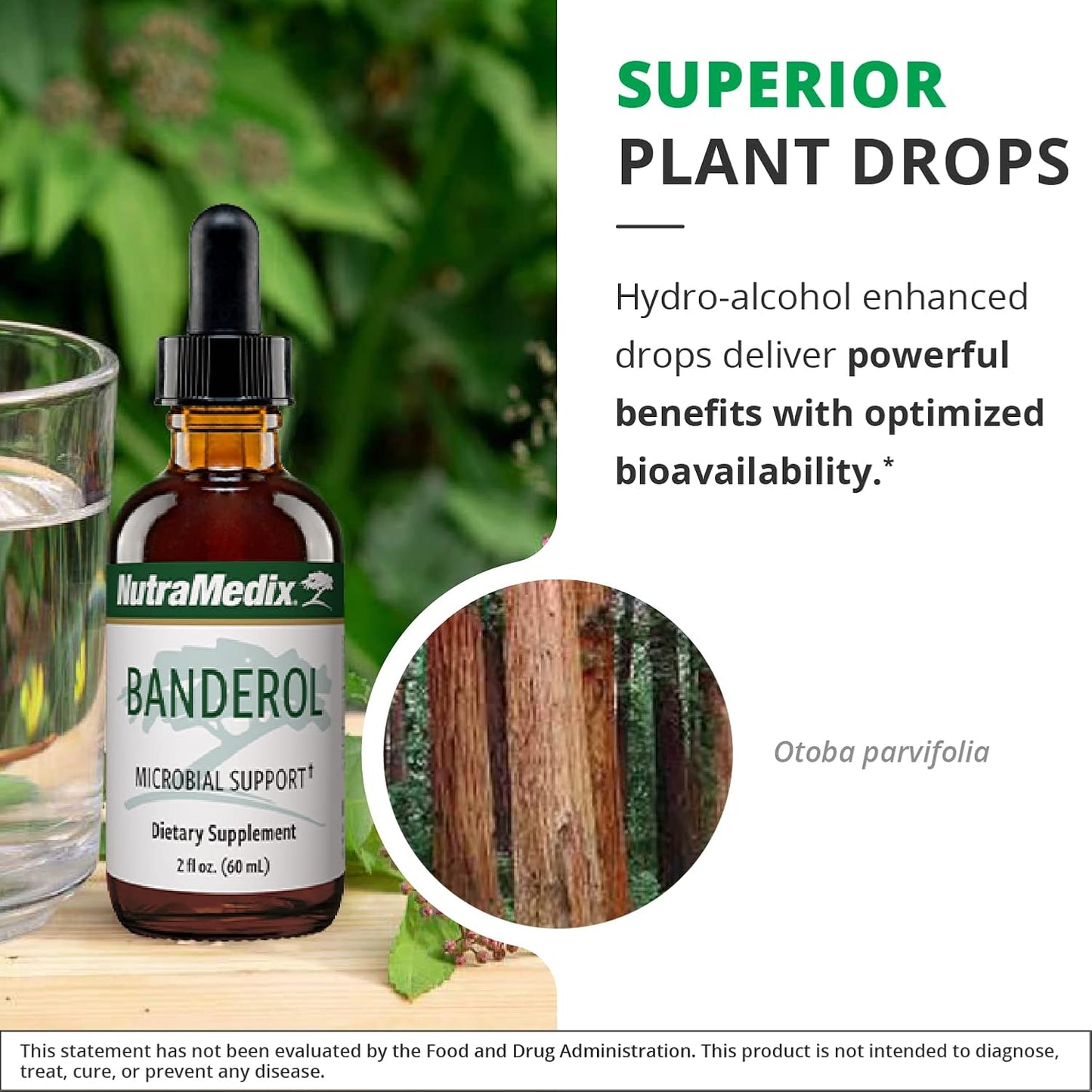 NutraMedix Banderol Herbal Supplement for Immune System Support - Vegan Liquid Drops - Otoba Bark Extract - 1 oz - BoostGo Australia