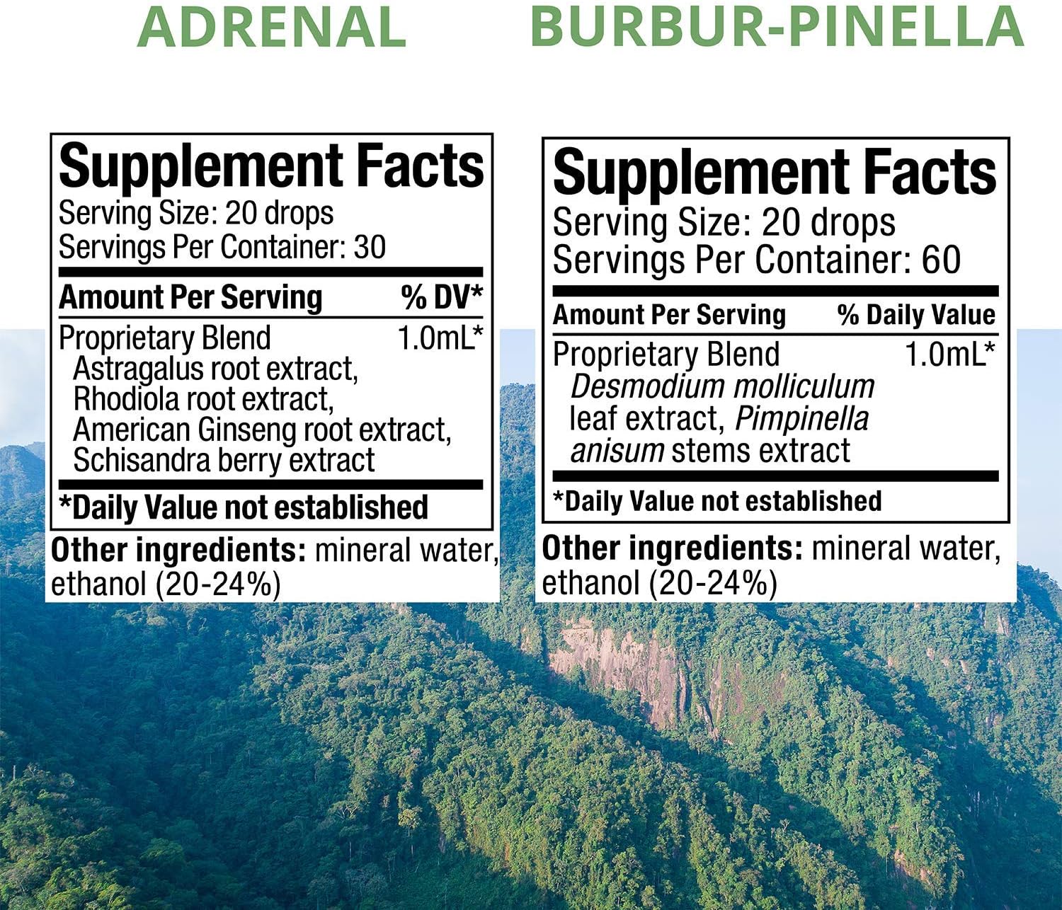 NutraMedix Energy Kit with Astragalus, Rhodiola, Ginseng, Schisandra Extracts, Detox Drops & Magnesium Capsules for Wellness