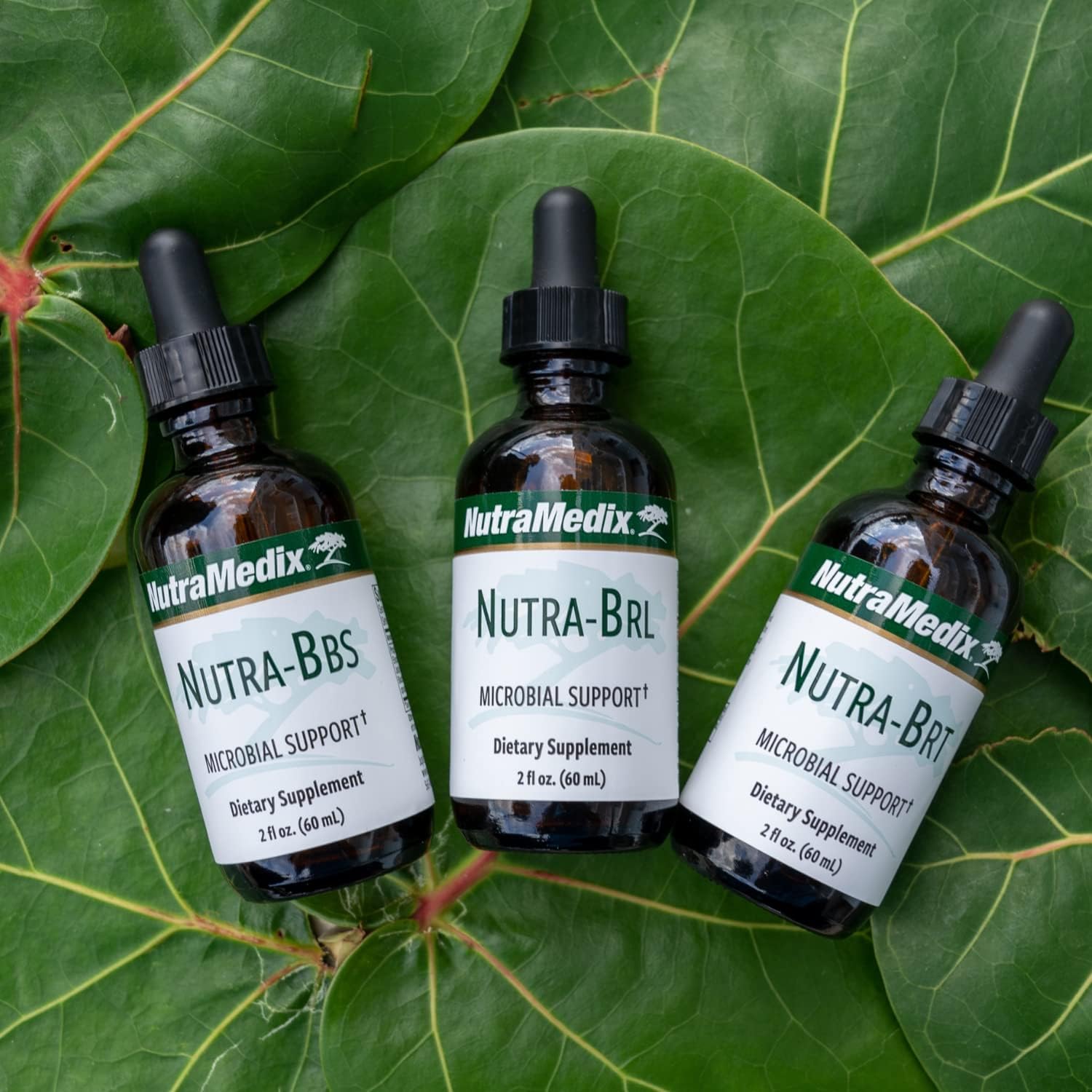 NutraMedix Nutra BRT Liquid Herbal Supplement - Gut Health & Immune Support - Cumanda Bark & Houttuynia Leaf - Digestive Health & Immune System Booster - 60mL - BoostGo Australia