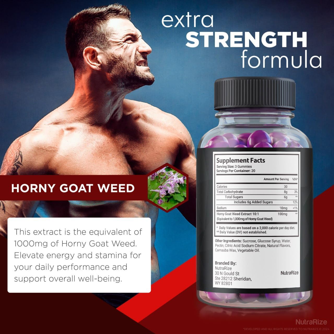 NutraRize VasoManix Gummies 2-Pack - Premium Male Supplement for Performance & Confidence - All Natural Formula - 120 Gummies