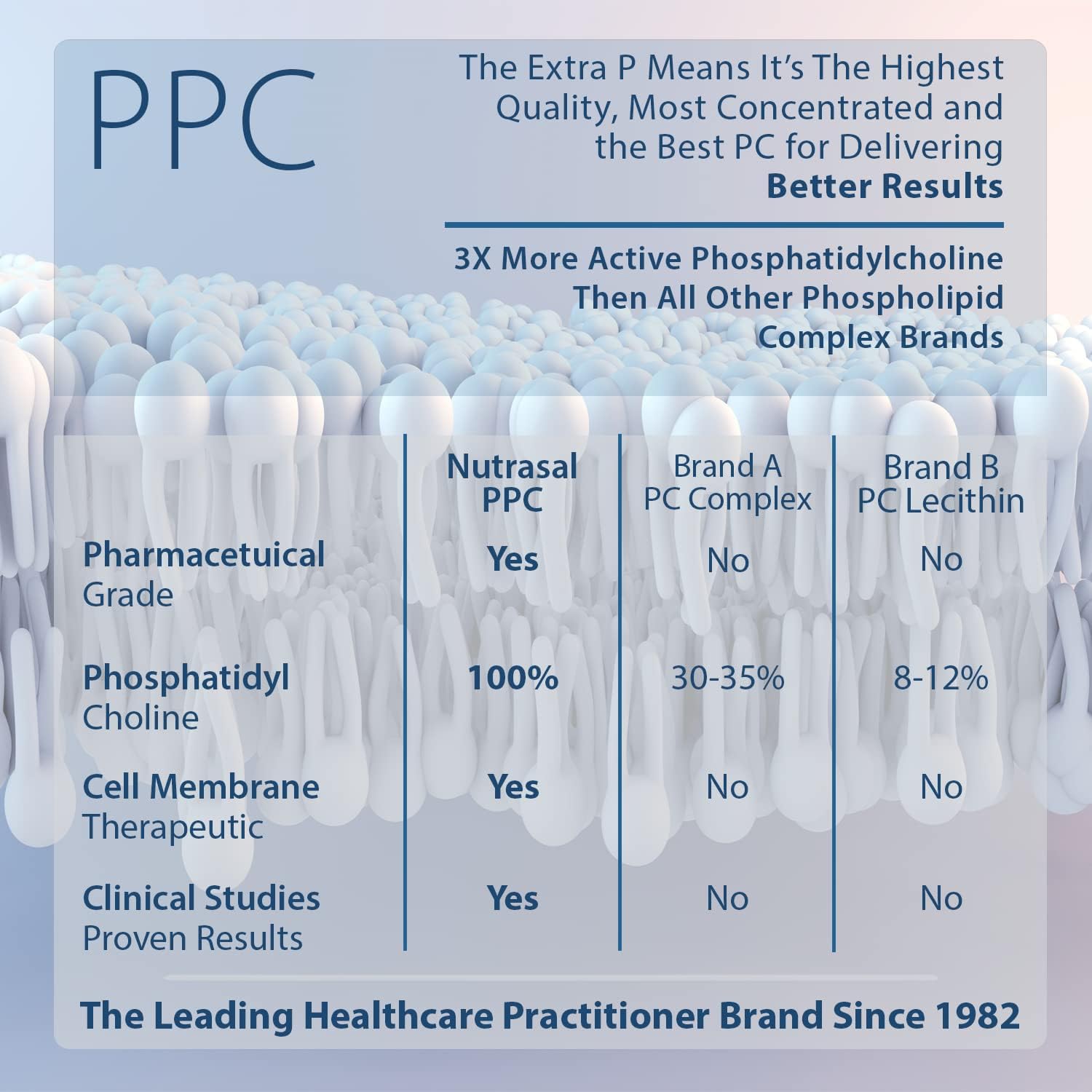 Nutrasal PhosChol PPC Polyenyl PhosphatidylCholine Liquid Choline Supplement for Kids - 1000mg, 8 oz