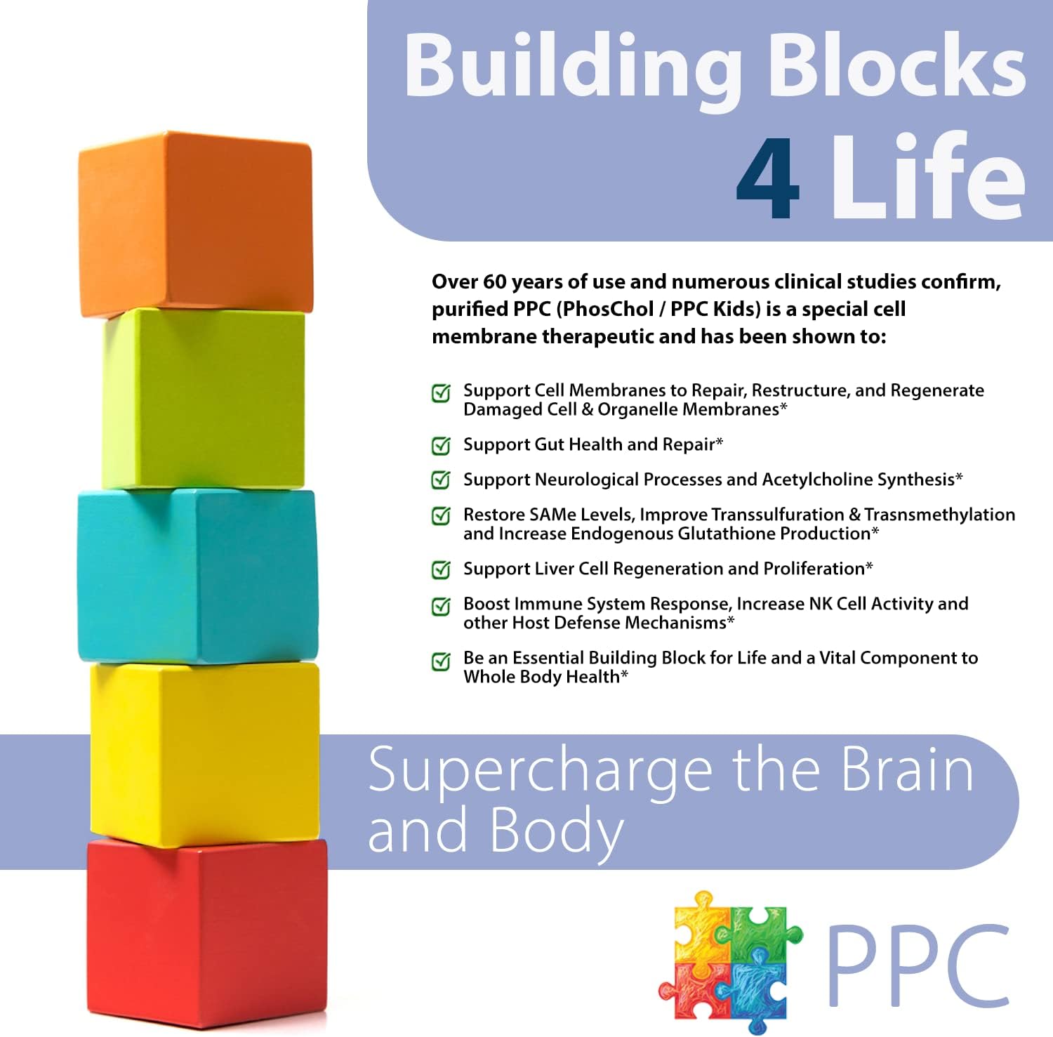Nutrasal PhosChol PPC Polyenyl PhosphatidylCholine Liquid Choline Supplement for Kids - 1000mg, 8 oz