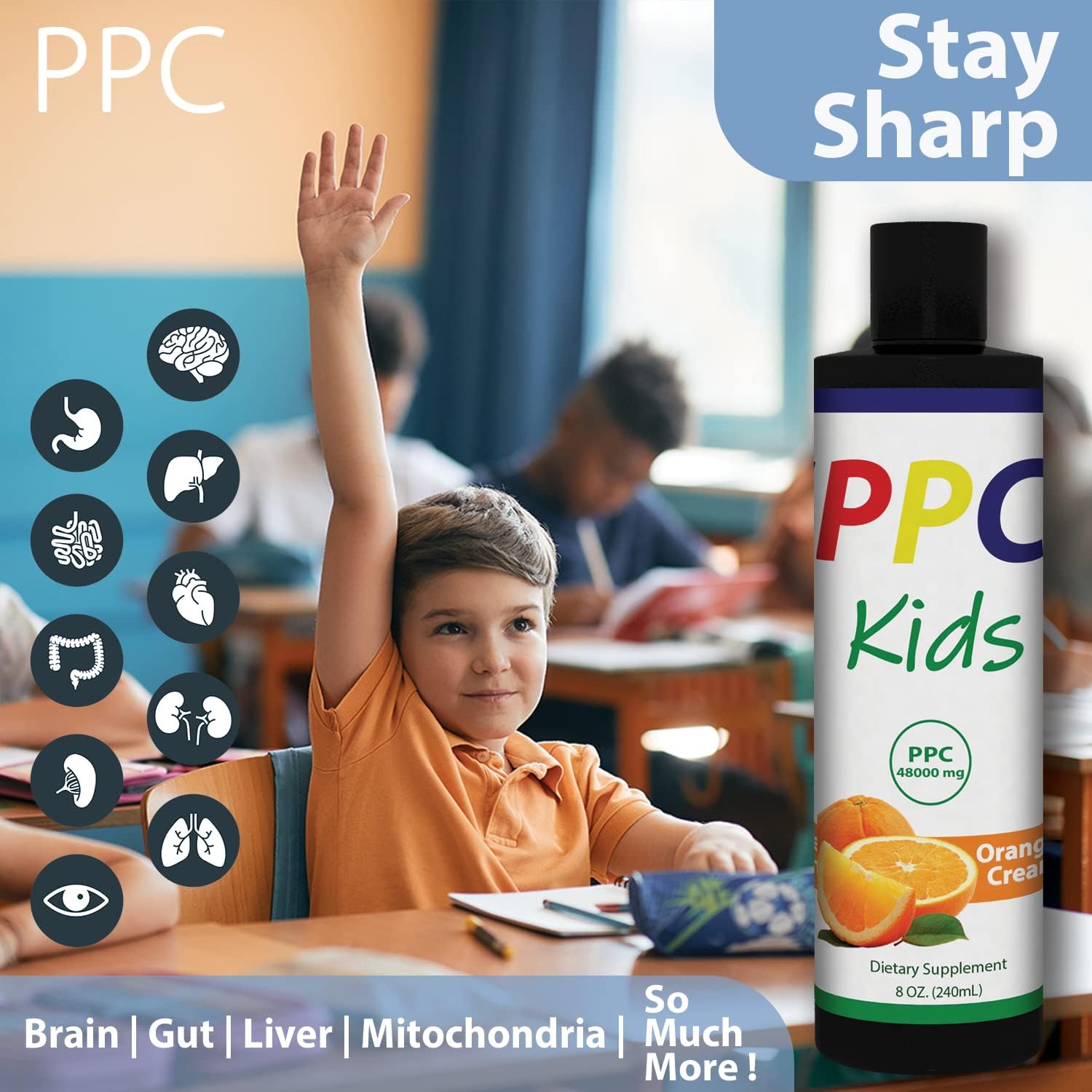 Nutrasal PhosChol PPC Polyenyl PhosphatidylCholine Liquid Choline Supplement for Kids - 1000mg, 8 oz
