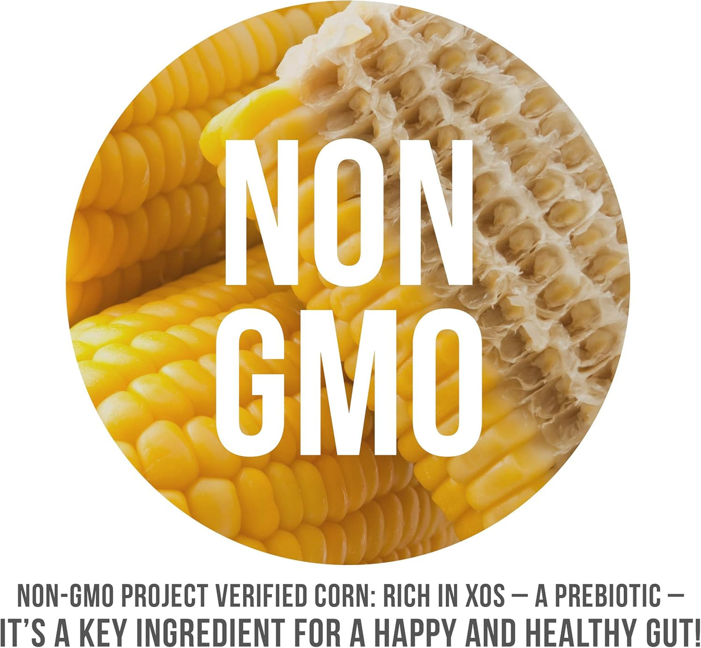 Nutrasumma XOS Prebiotic Power Supplement for Gut Health, 7.67 oz (218 g)