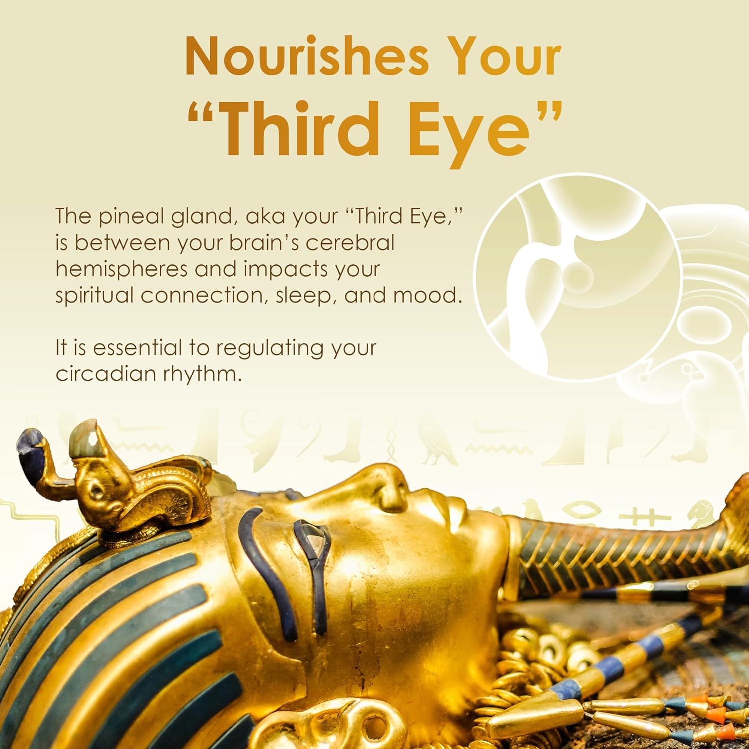 Nutraville Pharaoh's Nectar XT 24K Monoatomic Gold Ormus - Ultra-Pure Gold Concentration for Pineal Gland Activation and DNA Awakening - 30 Servings