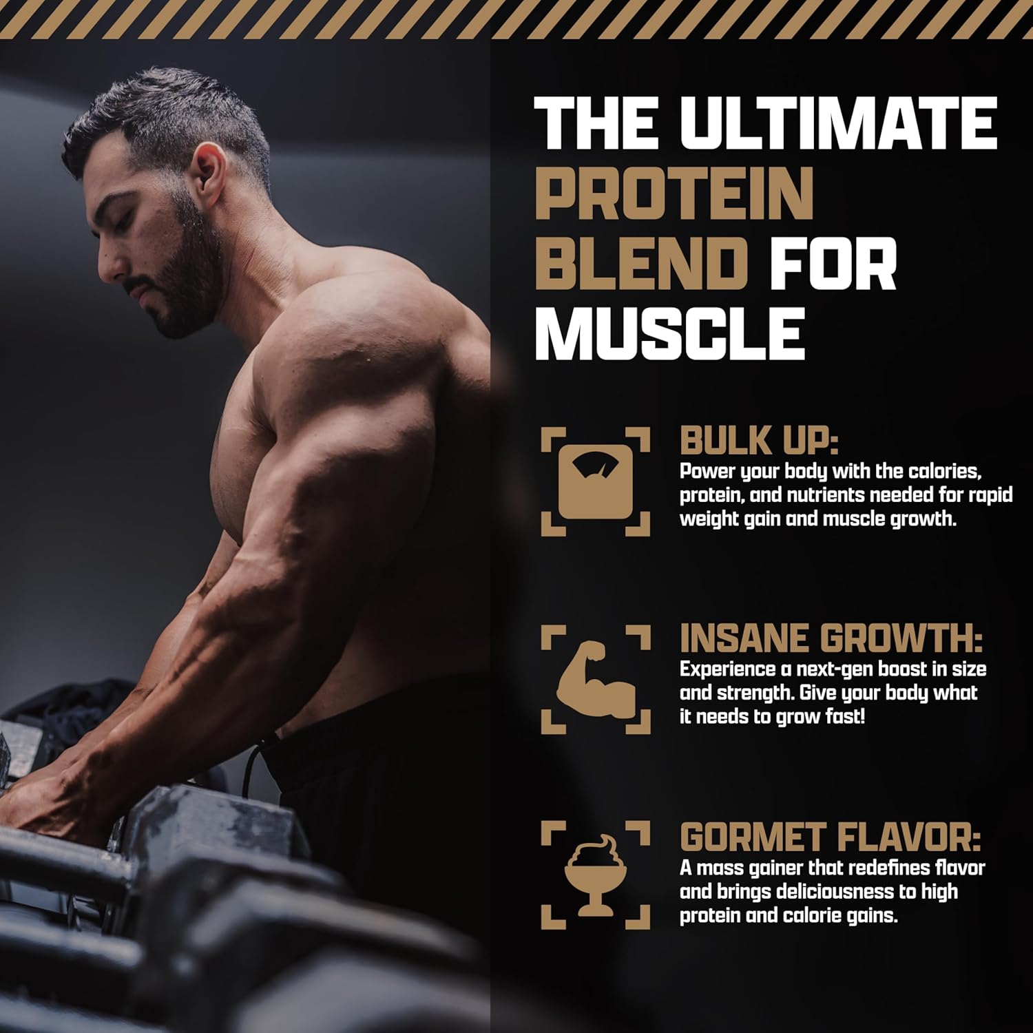 Nutrex Mass Infusion Chocolate Whey Protein Powder - 12 lb Weight Gainer Shake by Nutrex Research