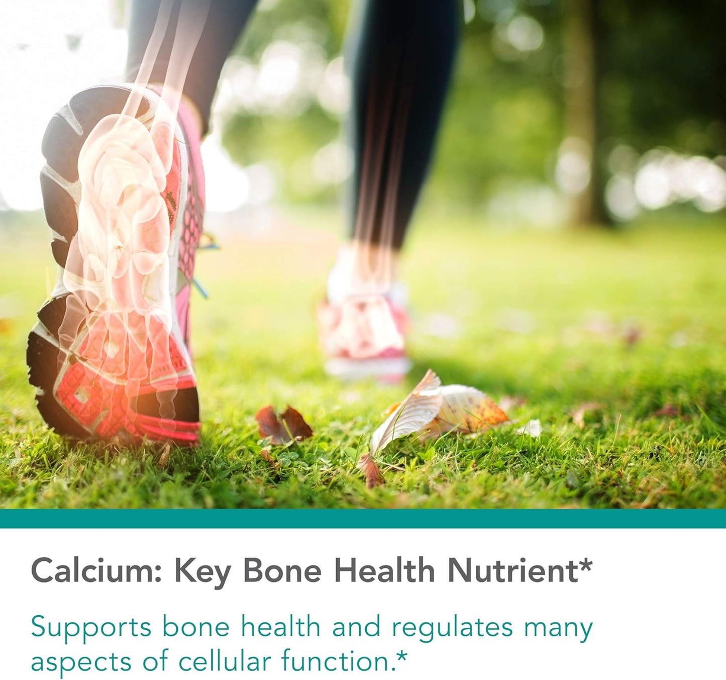 Nutricology Calcium Citrate Supplement - 150mg Vegetarian Capsules for Bone Strength and Absorption - 180 Count