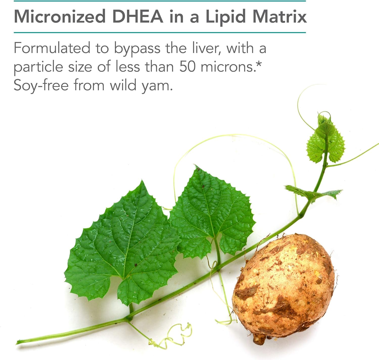 NutriCology DHEA 25mg Supplement - Hormone Support for Women & Men - Hypoallergenic Soy-Free Tablets (60 Count)