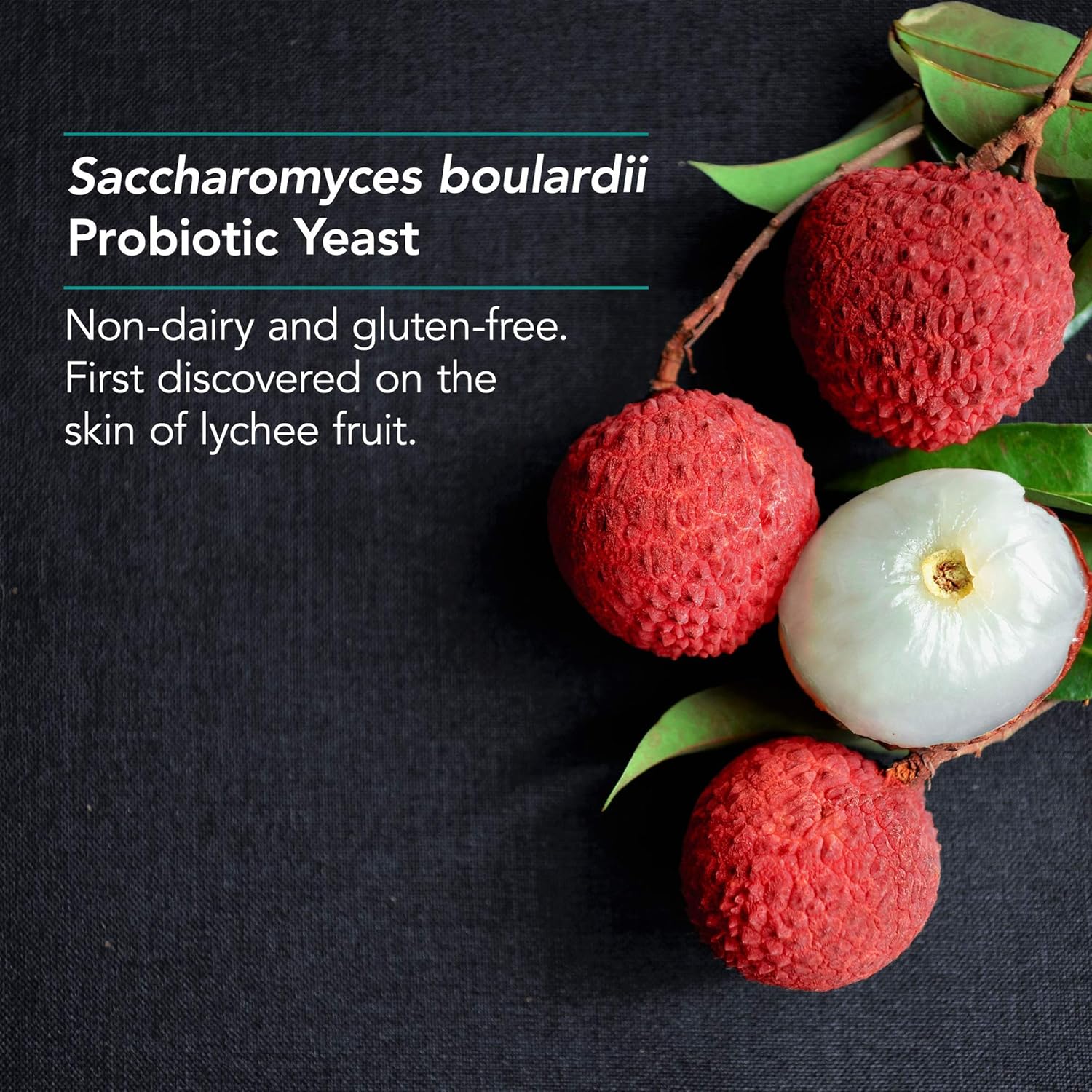 Nutricology Saccharomyces Boulardii Probiotic Supplement - 120 Count, 450mg S. Boulardii Probiotic Yeast for GI Tract Support