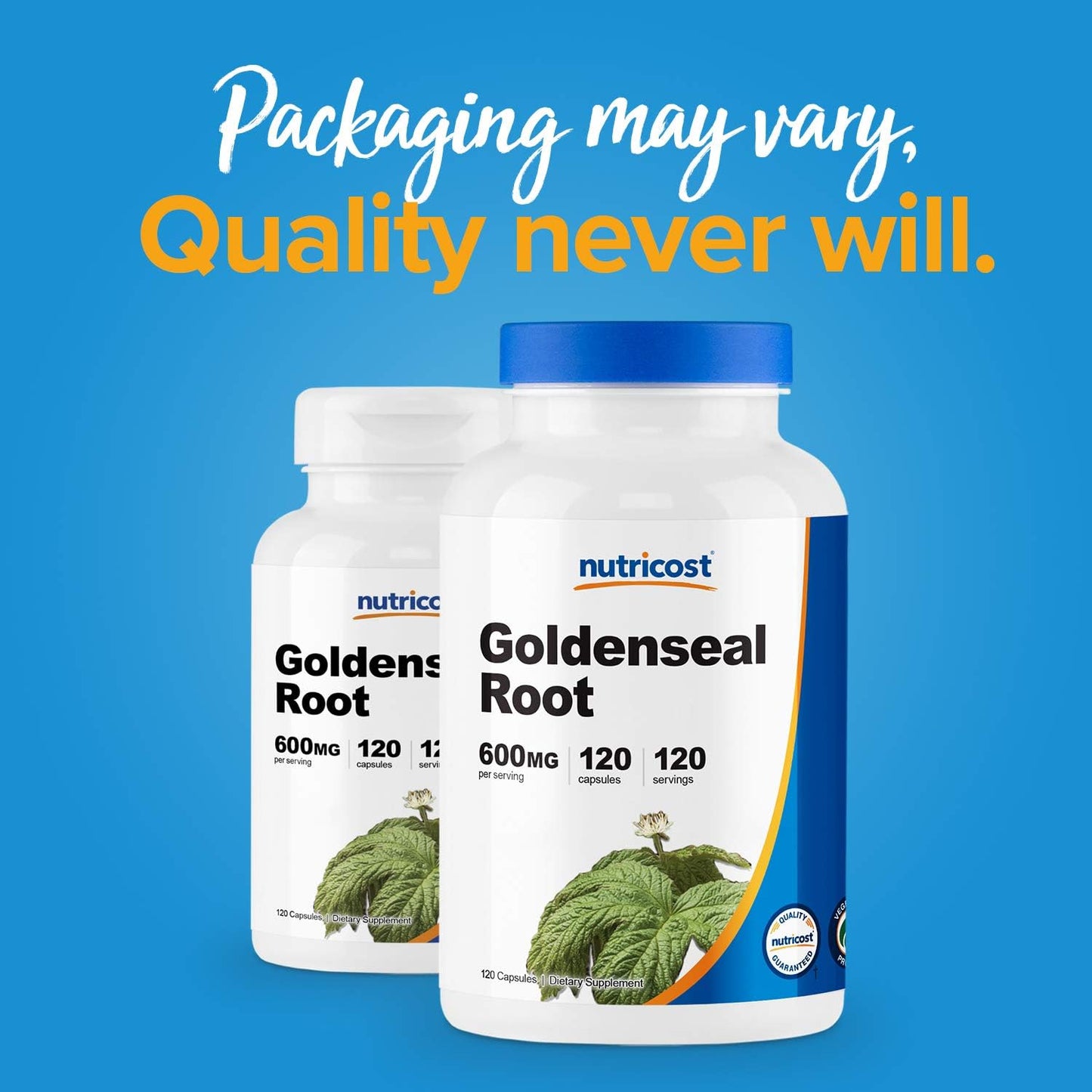 Nutricost Goldenseal Root 600mg Capsules - Pack of 120 (3 Bottles) - Non-GMO, Gluten Free, Vegetarian Formula