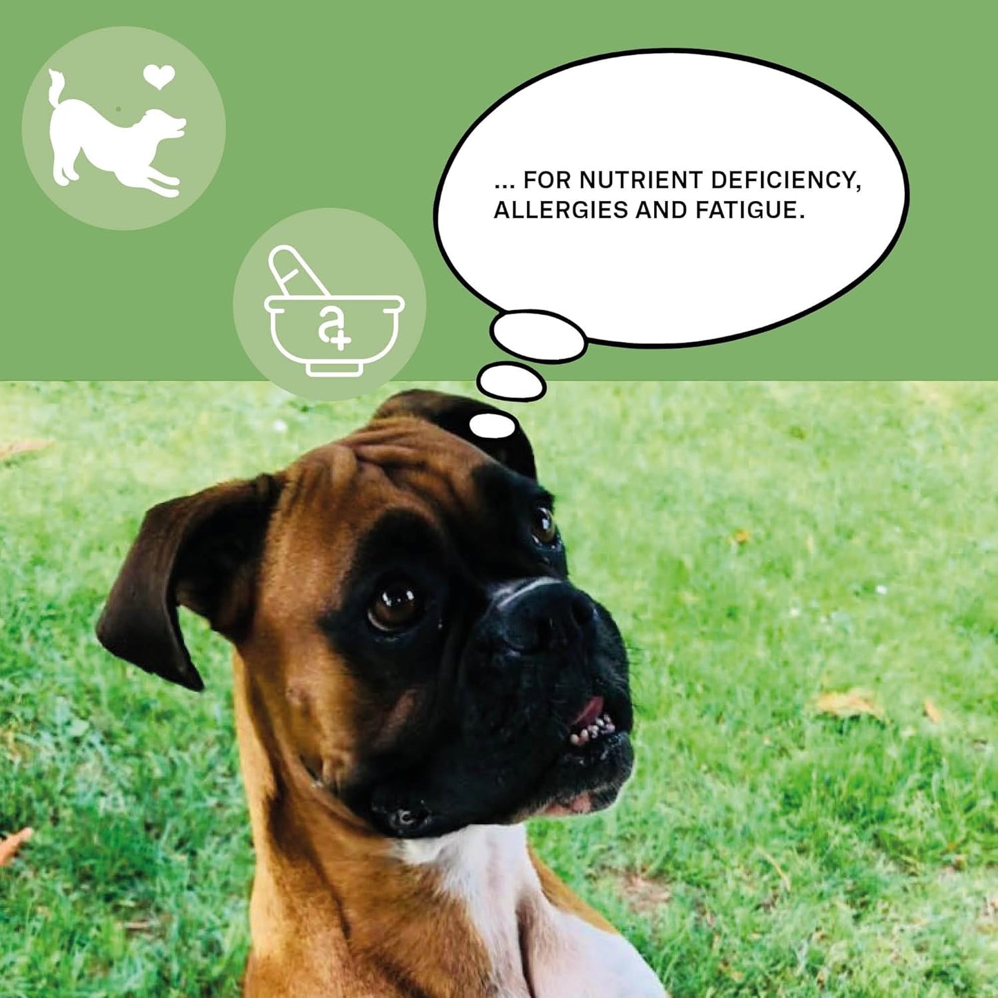 Nutrients 365 for Dogs: All-Natural Vitamins for Immune Health, Skin & Coat, Raw-Feeding Support - 60 Chewable Tablets