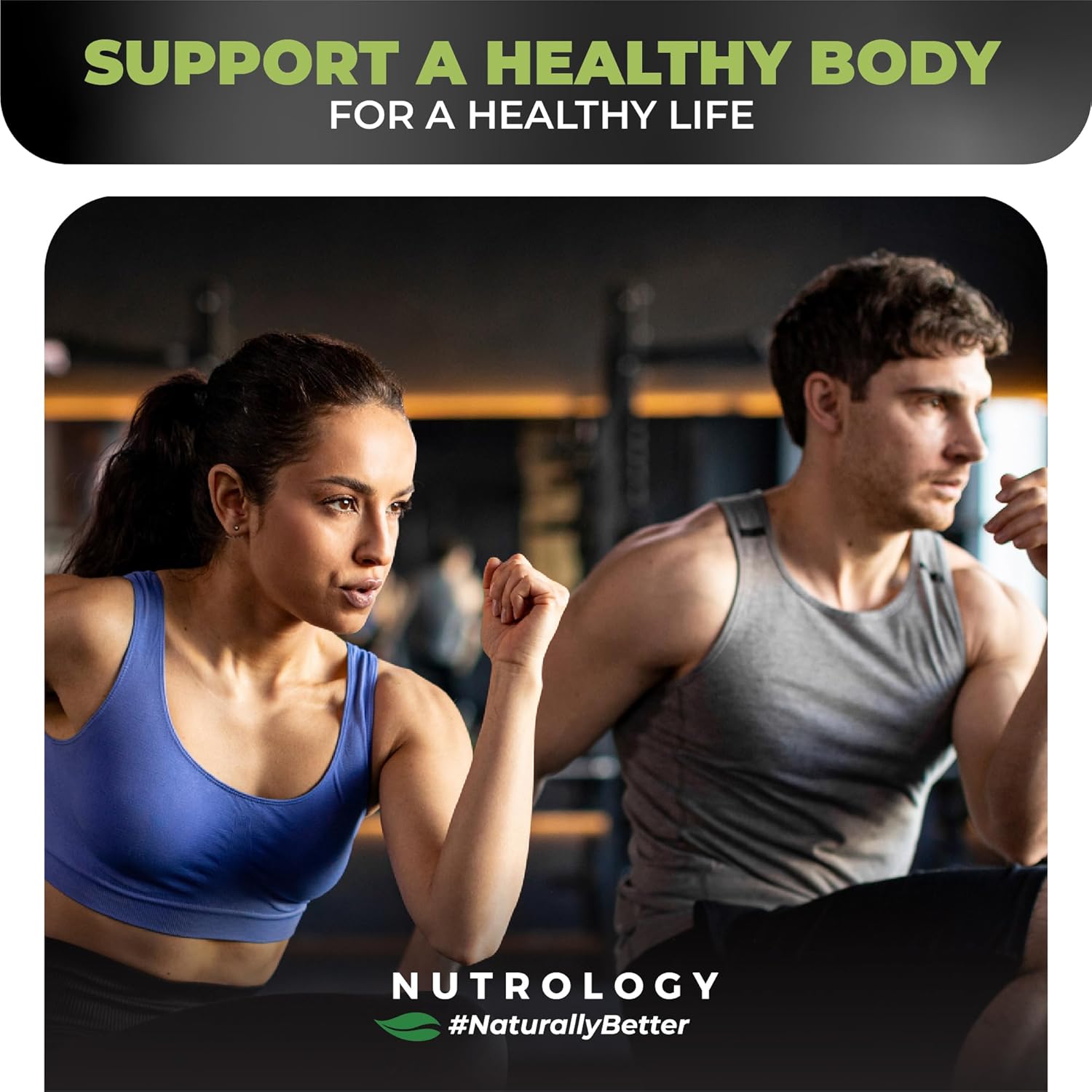Nutrology Greens & Fruits Powder with Beet Powder, Mushroom Blend, Probiotics, Digestive Enzymes, Fiber, Antioxidants, Immune Support - Vanilla Cinnamon Flavor - BoostGo Australia