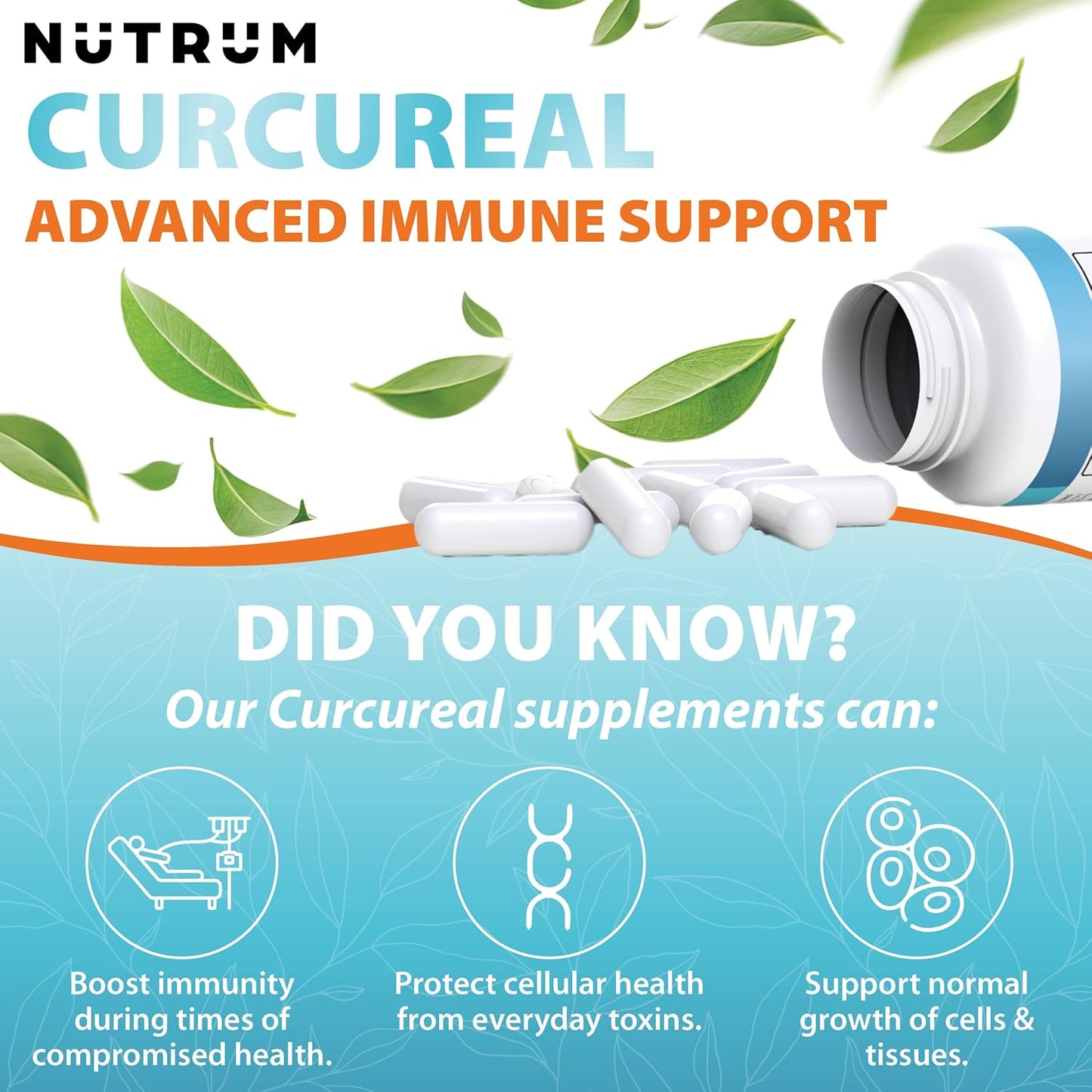 Nutrum's Advanced Vegan Immune Support Supplements with Curcumin, Fucoidan, and Herbal Extracts - 90 Capsules for Cellular Health and Immunity Boost