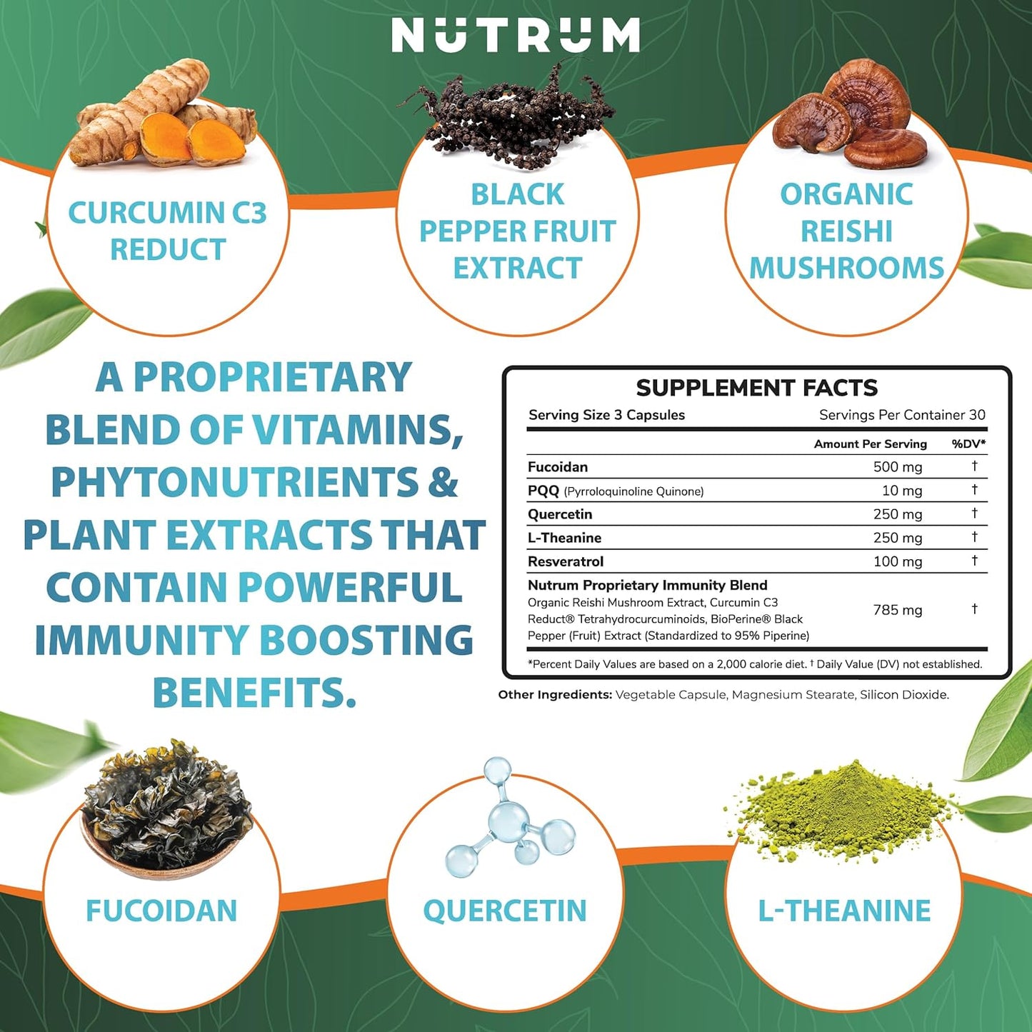 Nutrum's Advanced Vegan Immune Support Supplements with Curcumin, Fucoidan, and Herbal Extracts - 90 Capsules for Cellular Health and Immunity Boost