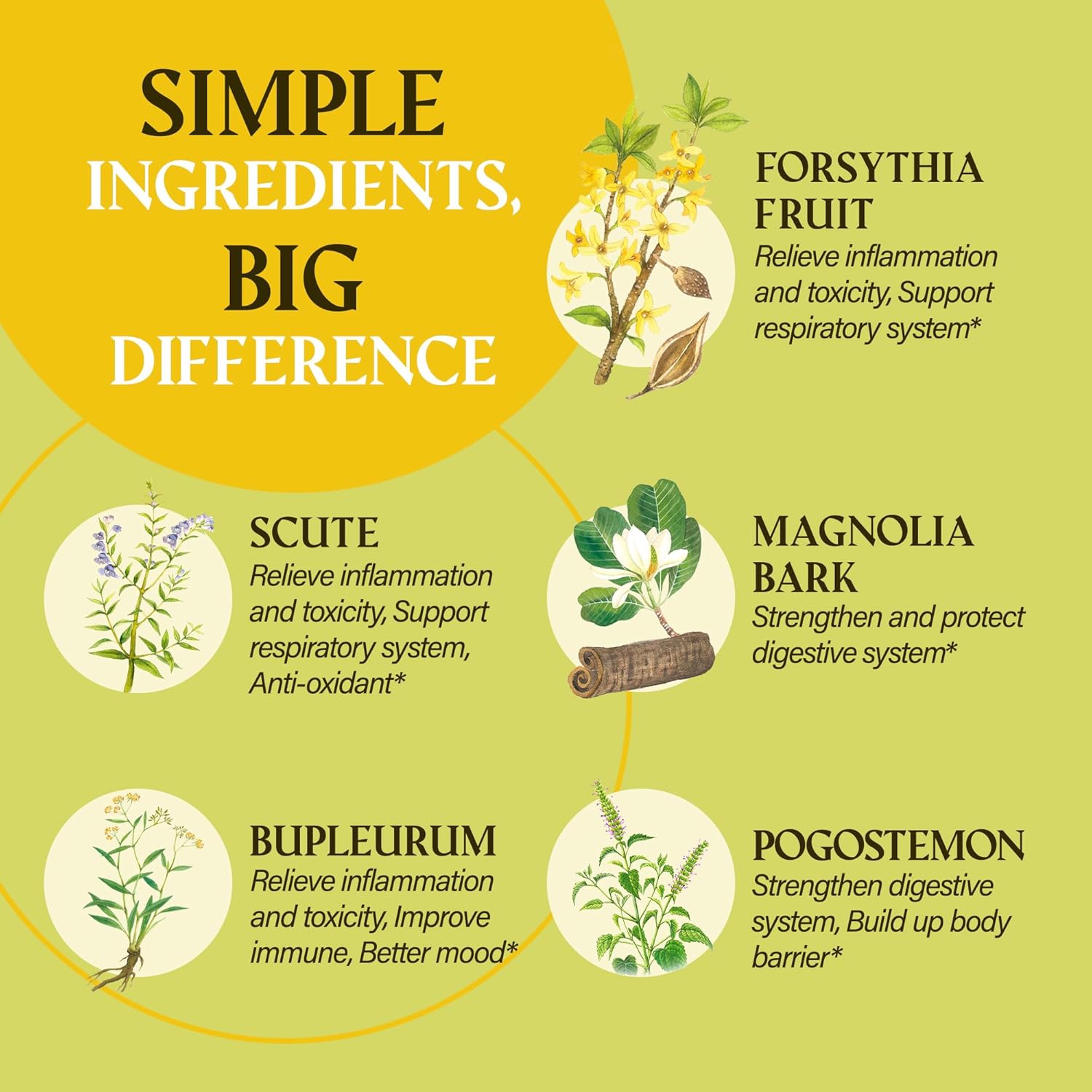 NUWONDER Immune Extra Prevention Capsules Back in Stock Soon - Natural Support, Clinically Tested, Non-Drowsy Formula, Chemical-Free