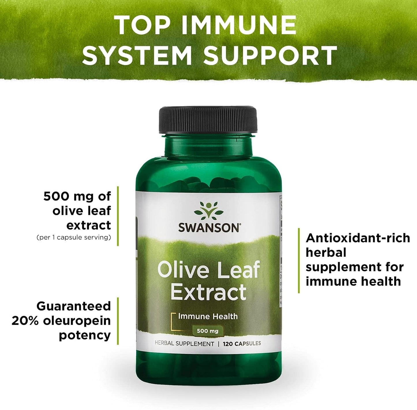 Olive Leaf Extract Capsules 20% Oleuropein 500mg - 3 Pack, 240 Capsules - Swanson