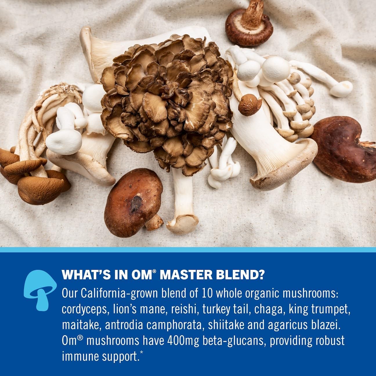 OM Mushroom Superfood Master Blend Vanilla Plant Protein with Mushrooms & Adaptogens - 10 Count, Single Serve Packs - Energy, Recovery, Stress Relief - Lion's Mane, Ashwagandha - 10 Mushroom Complex