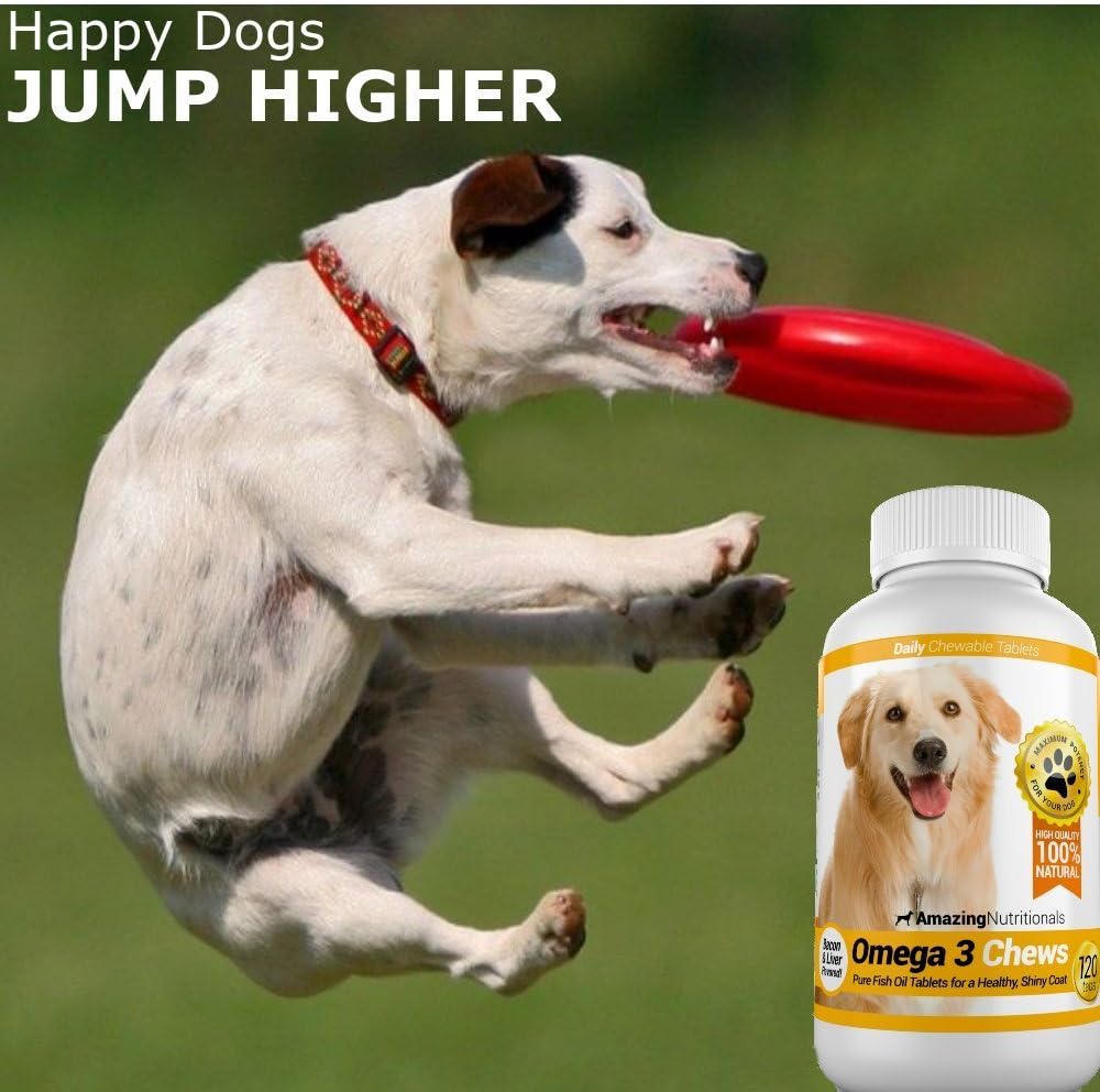 Omega 3 Fish Oil Chews for Dogs - Itchy Skin Relief & Coat Health - Salmon Flavor - 120 Chews