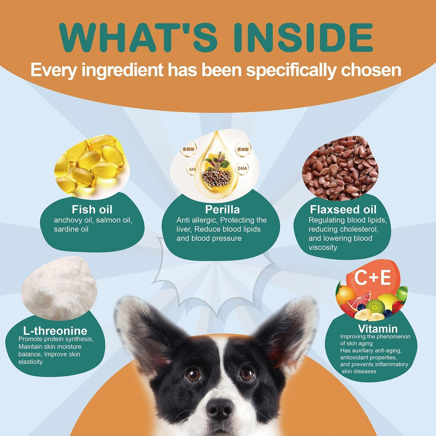 Omega 3 Fish Oil Chews for Dogs - Skin and Coat Care Treats with Salmon, Anchovy, Sardine, Perilla, Flaxseed Oil for Healthy Skin and Shiny Fur