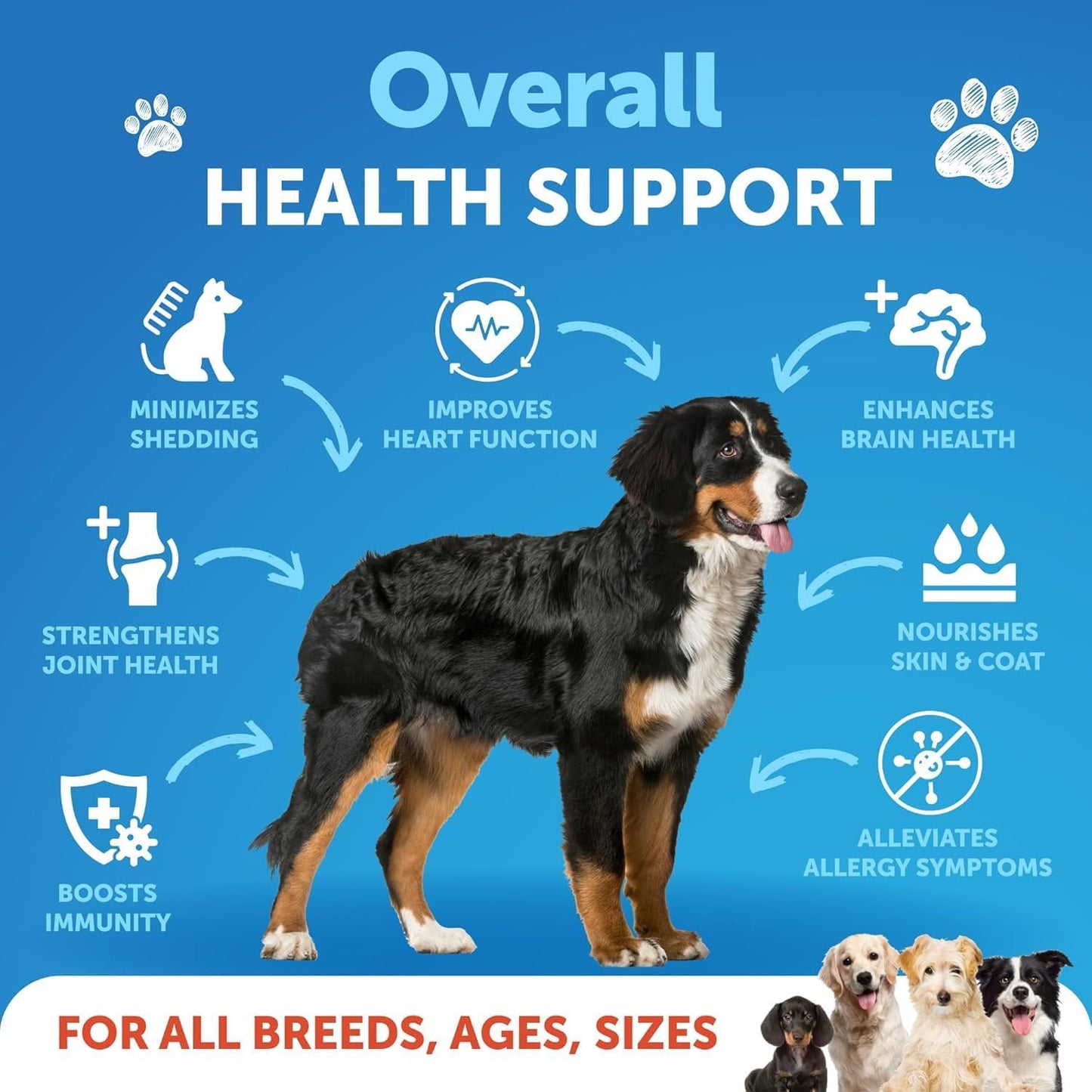 Omega 3 Fish Oil Liquid Supplement for Dogs - Skin & Coat Defense - Allergy Relief - High EPA & DHA - Joint & Bone Health - 16 FL OZ