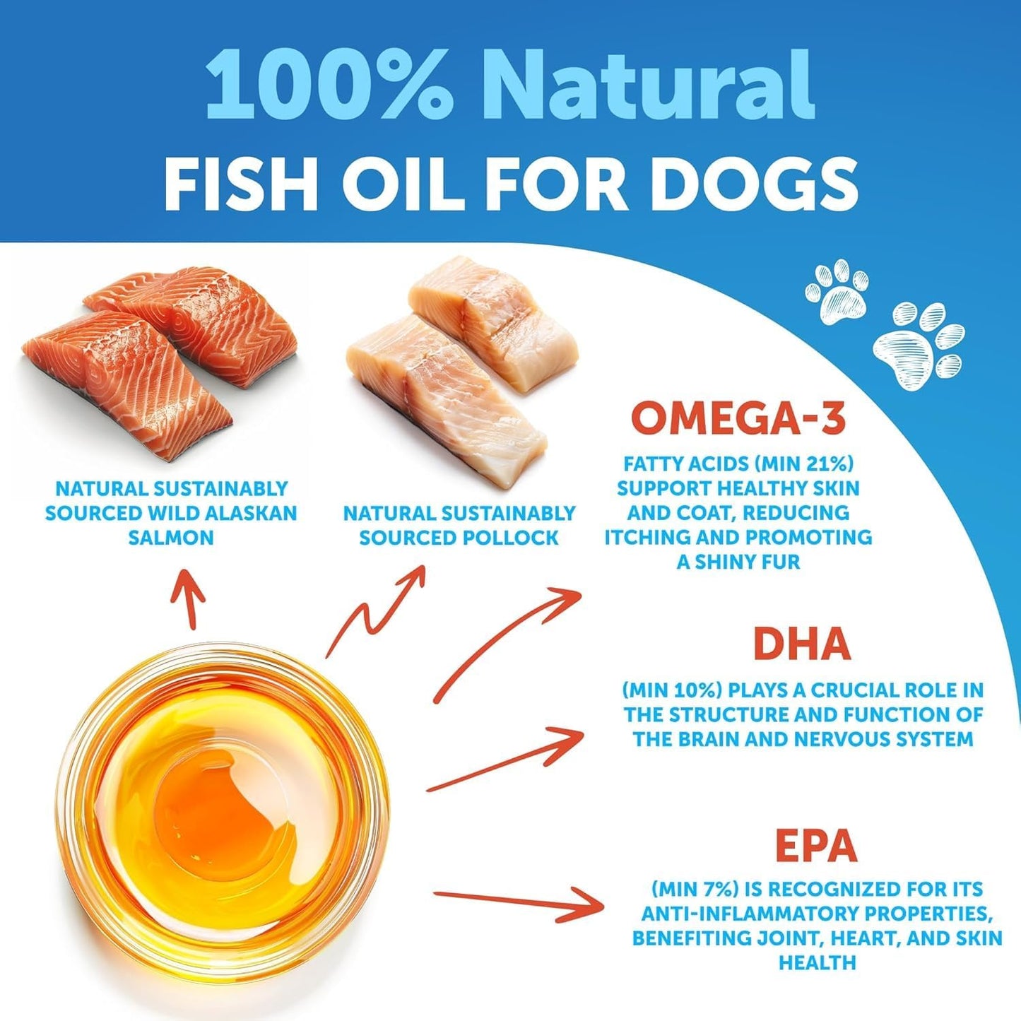 Omega 3 Fish Oil Liquid Supplement for Dogs - Skin & Coat Defense - Allergy Relief - High EPA & DHA - Joint & Bone Health - 16 FL OZ