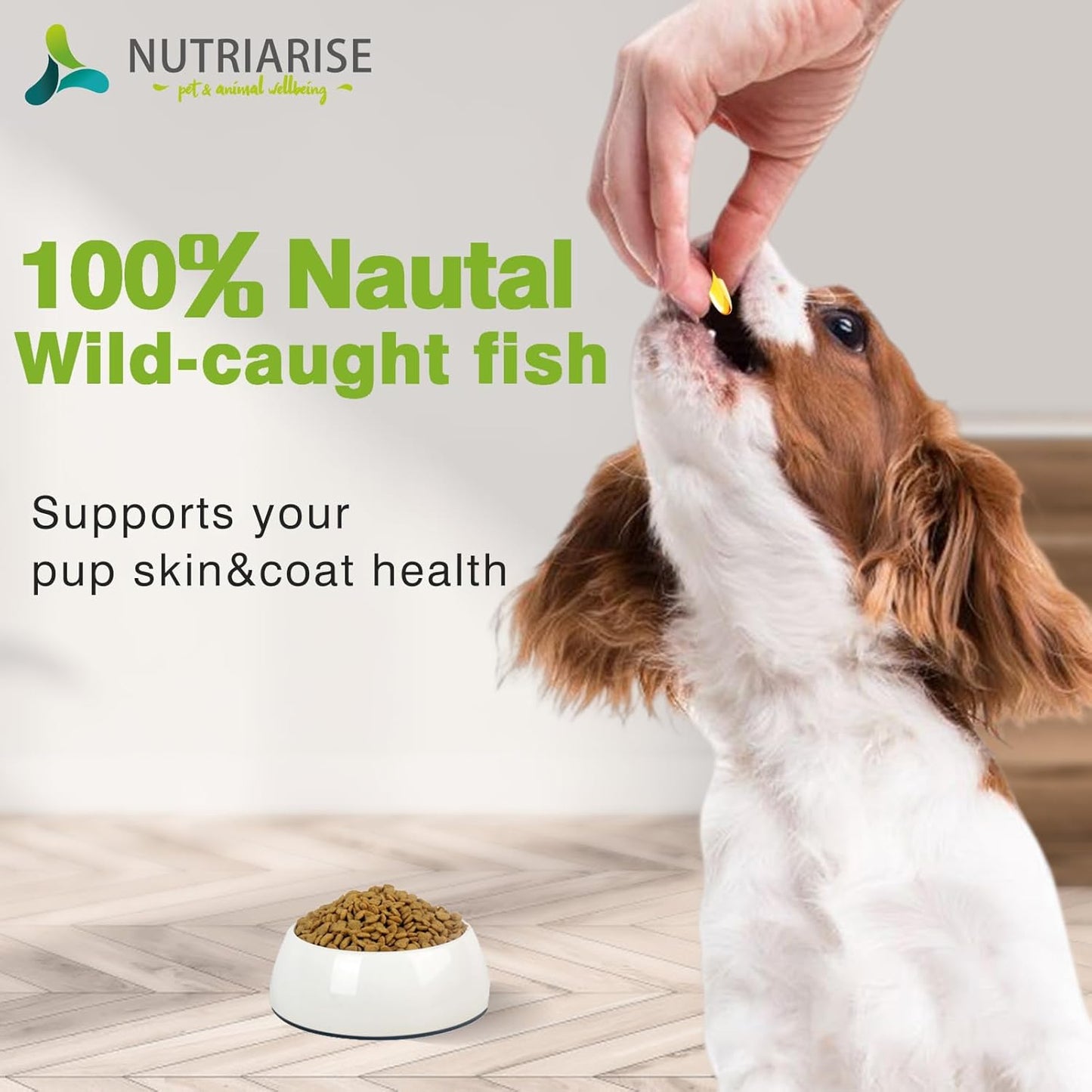 Omega 3 Fish Oil Supplement for Dogs and Cats - Skin and Coat Health - EPA & DHA Fatty Acids - 120 Softgels