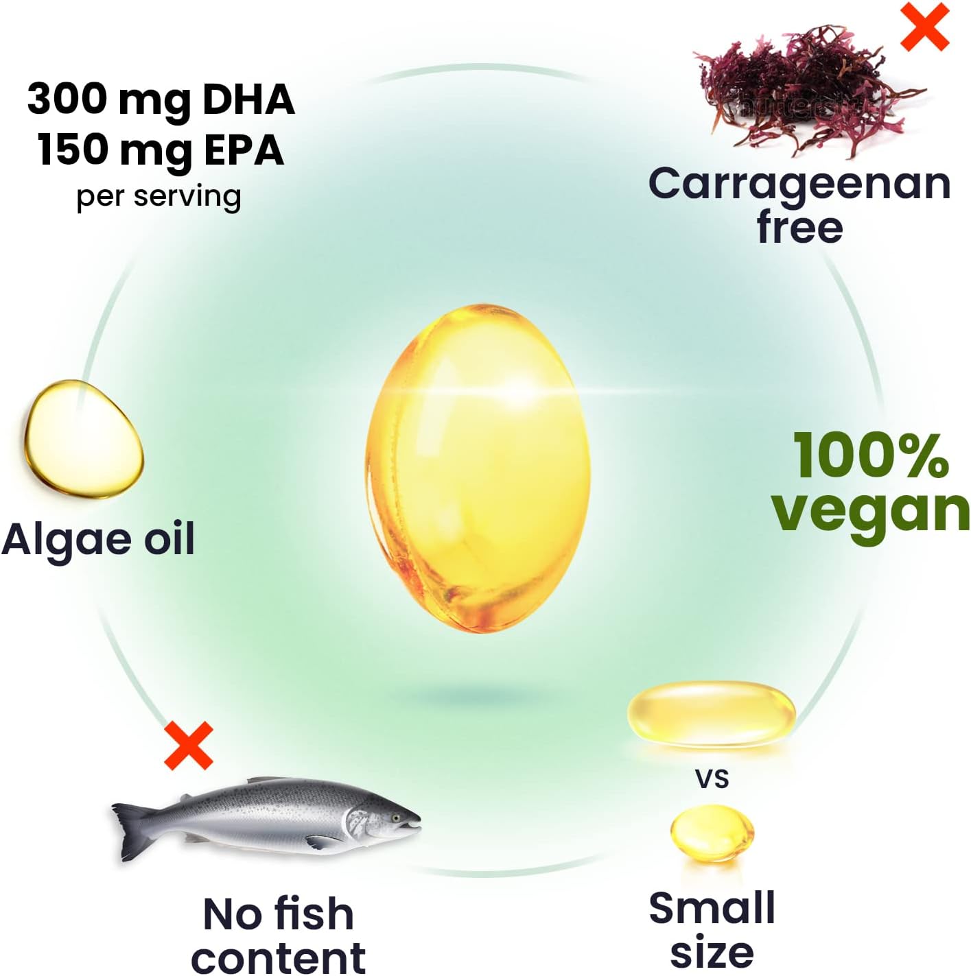 Omega-3 Supplement Bundle by Dr. Moritz - Boost Your Health with Essential Fatty Acids