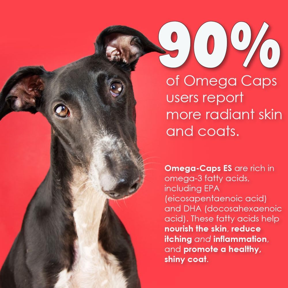 Omega-Caps ES Liquid for Dogs and Cats, Omega-3 Supplement with EPA and DHA, Supports Healthy Joints, Skin, and Coat, 24-oz Bottle