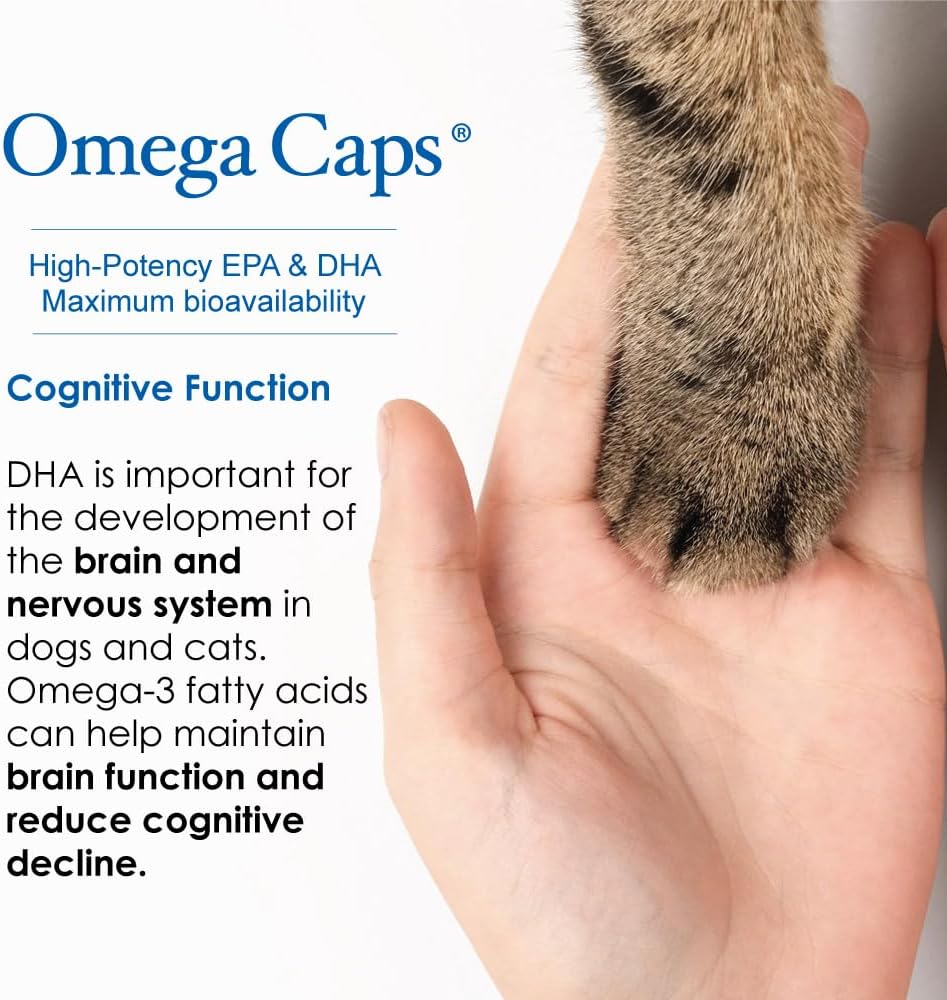 Omega-Caps ES Liquid for Dogs and Cats, Omega-3 Supplement with EPA and DHA, Supports Healthy Joints, Skin, and Coat, 24-oz Bottle