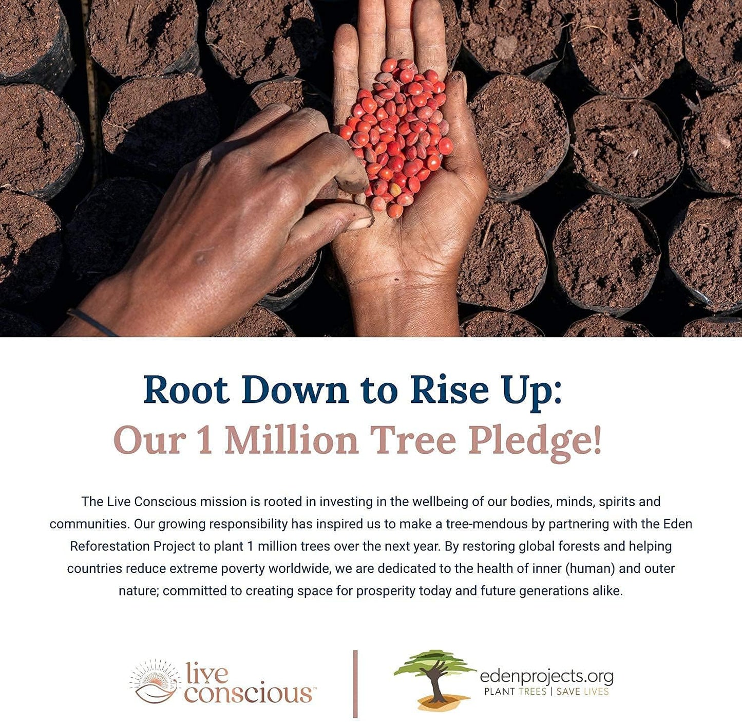 OmegaWell Fish Oil & MagWell Magnesium Zinc + Vitamin D3 Supplement for Bone, Heart, and Immune Health - Heart, Brain, and Joint Support