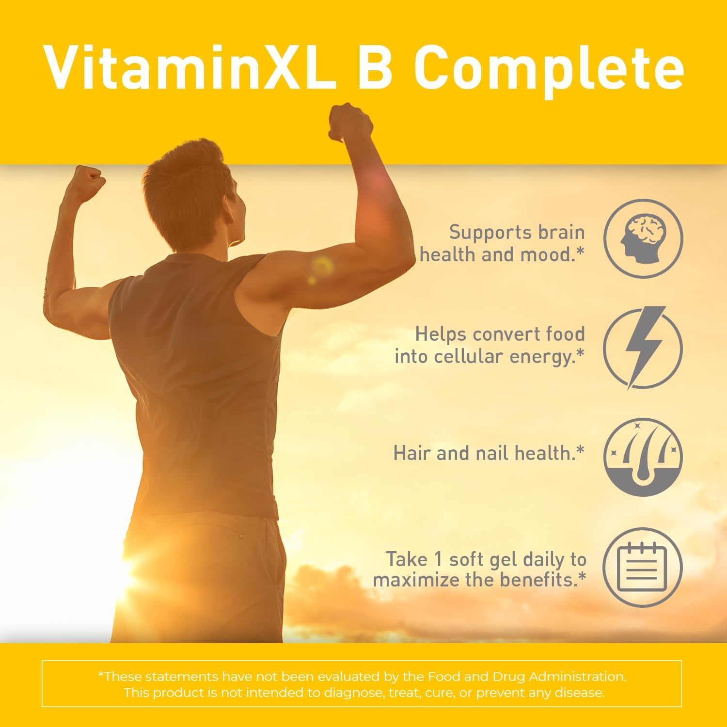 OmegaXL VitaminXL B Complete: Full Spectrum B Complex with B1, B5, B6, B12, Biotin, Niacin, Riboflavin, Folate, Choline, and Inositol - 30 Soft Gels