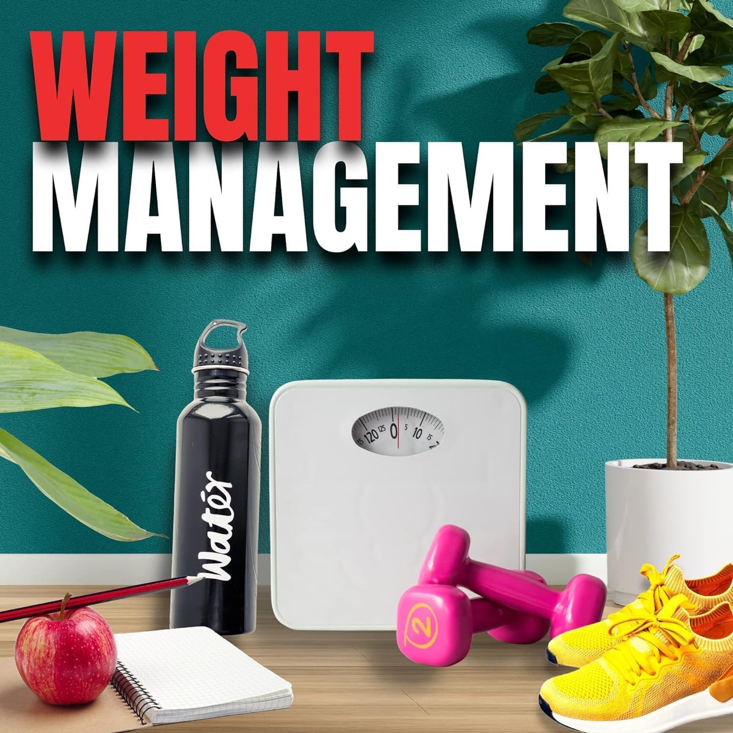 Omni Drop Program Bundle: 4 oz Omni Drops with Vitamin B12, Program Guide, Samples, and Carabiner Tape Measure