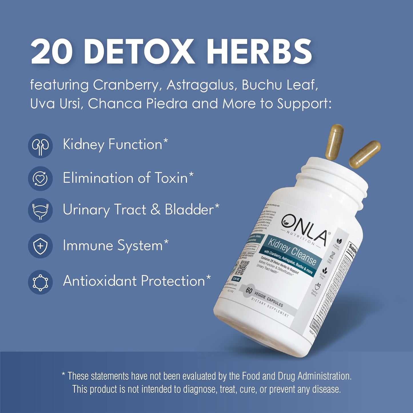 ONLA Vegan Kidney Cleanse Capsules - 20-in-1 Natural Urinary Tract Supplement for Kidney & Bladder Support - Detox & Repair with Cranberry, Astragalus, Buchu, Uva Ursi - 60 Capsules