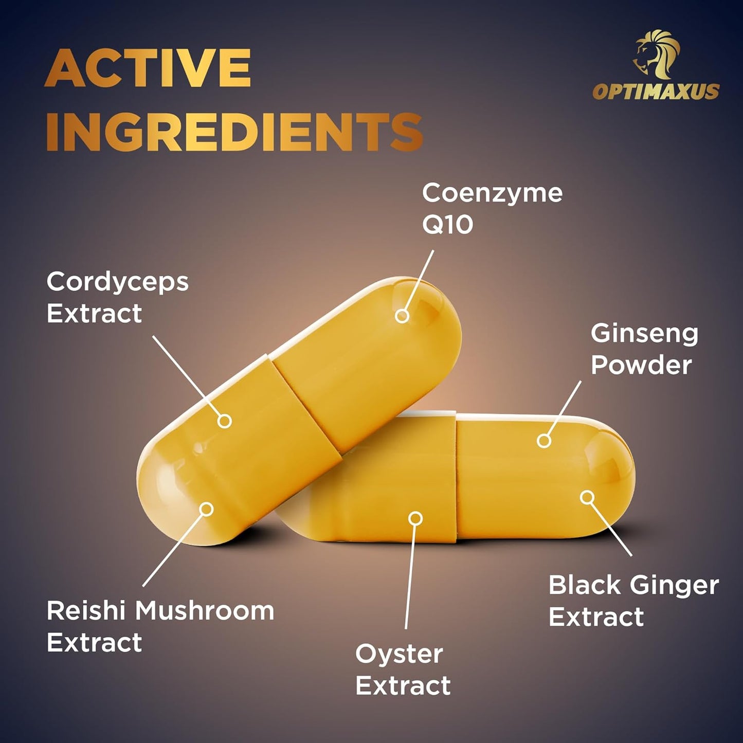 Optimaxus Health Fixer: Energy Support, Endurance, and Extra Strength - 10 Capsules