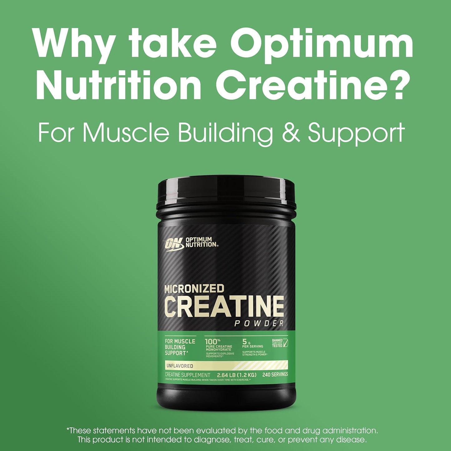 Optimum Nutrition Micronized Creatine Monohydrate Powder - Unflavored - 240 Servings - 1200g - Varying Packaging