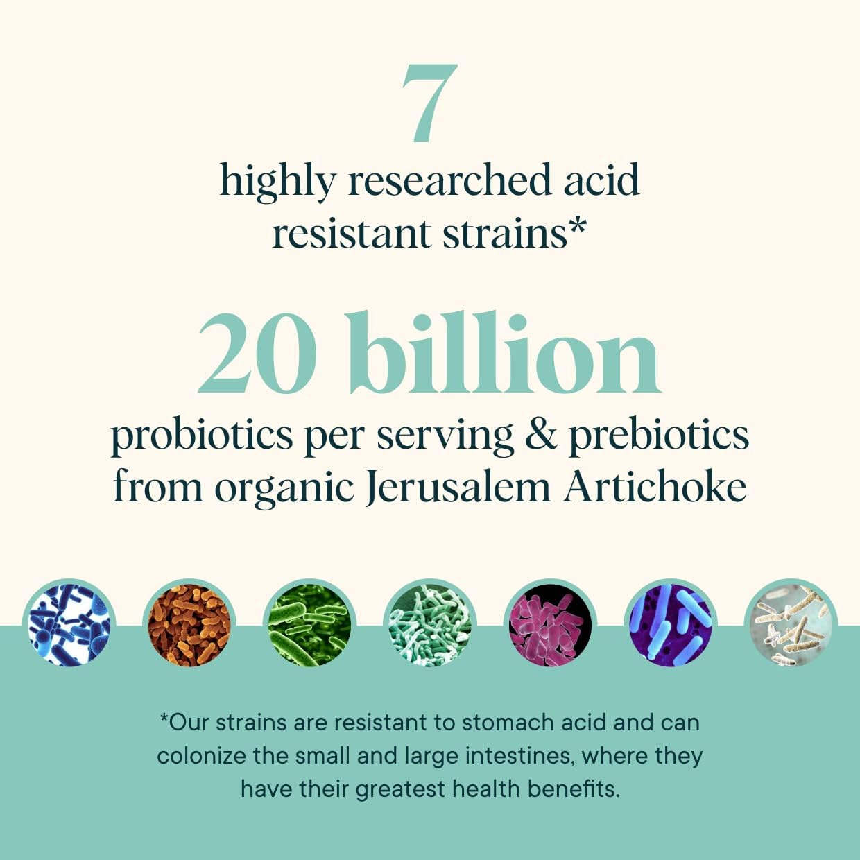 Ora Organic Prebiotic and Probiotic Powder Supplement - 20 Billion Probiotics, 7 Strains - Non-GMO, Lavender Lemonade Flavor - 30 Servings for Women, Men, & Kids - BoostGo Australia